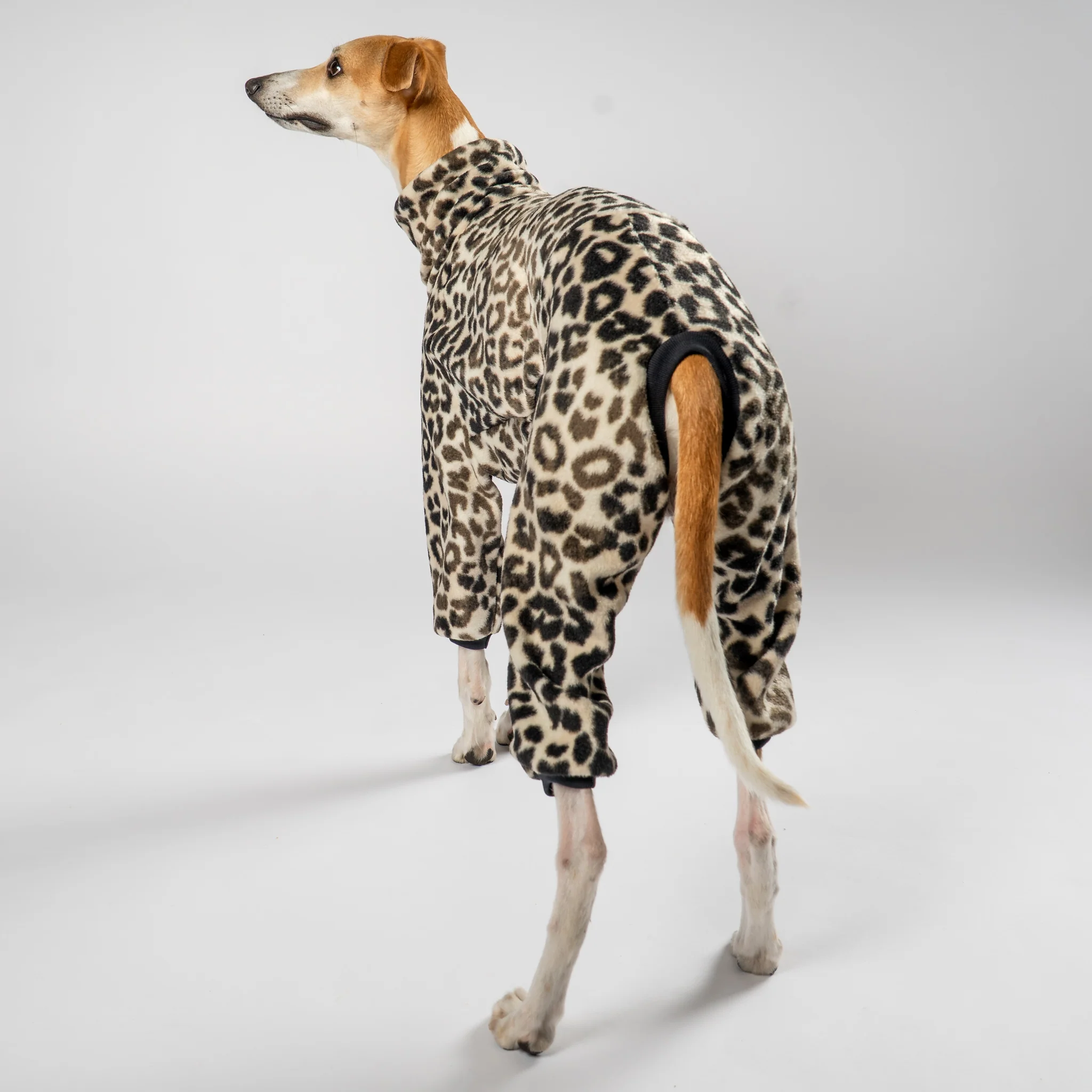 OVERALL Windhund Leo - Image 3