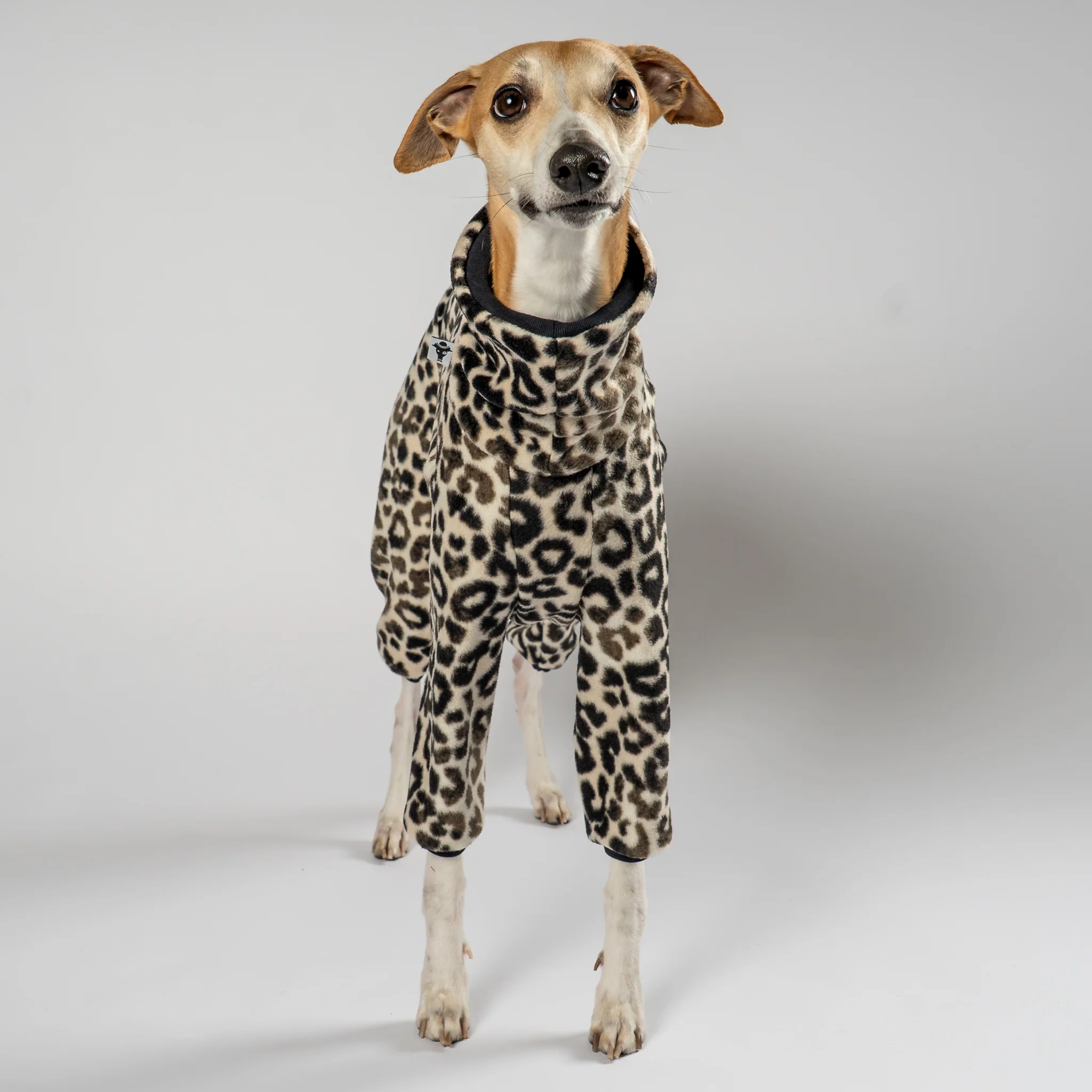 OVERALL Windhund Leo - Image 4
