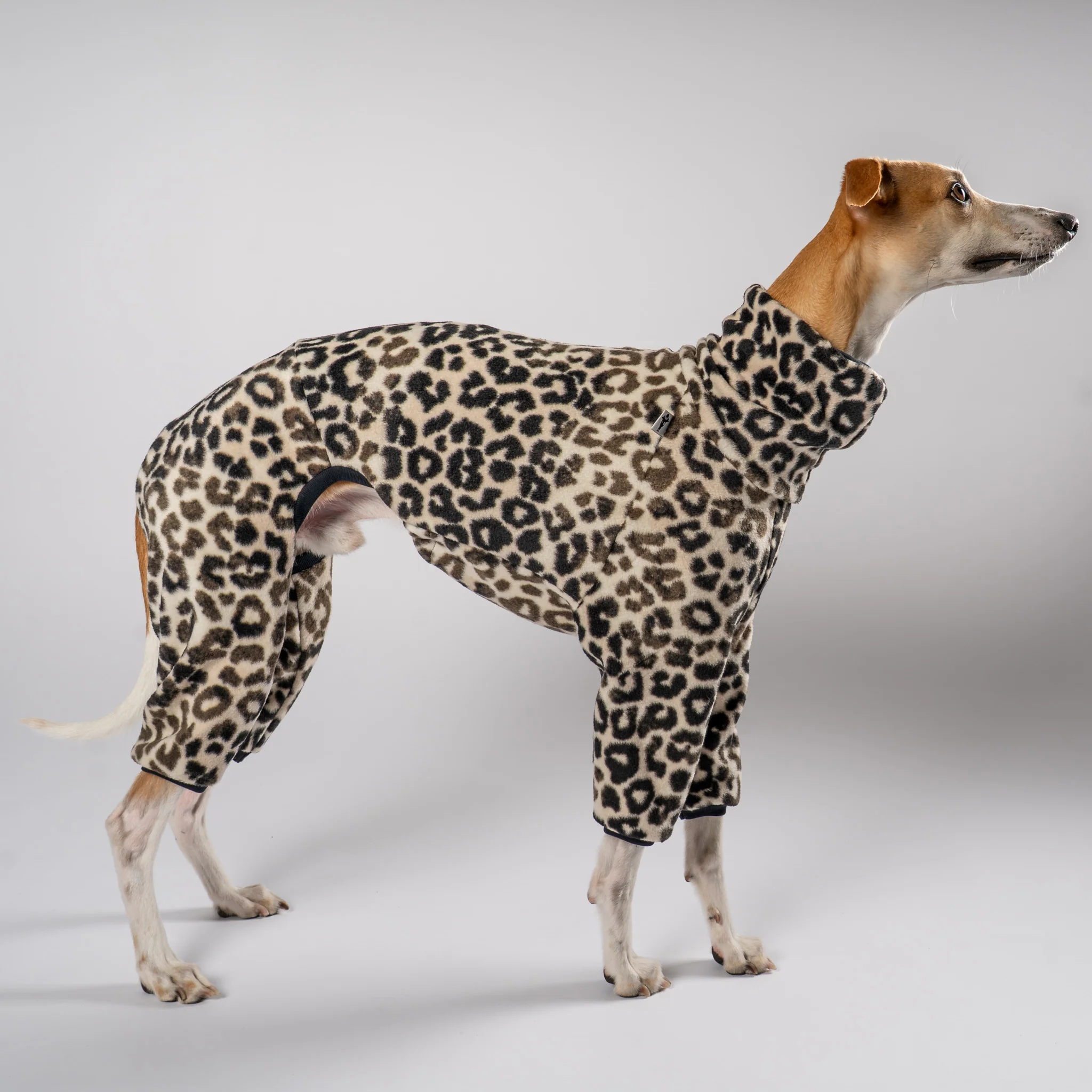 OVERALL Windhund Leo - Image 5