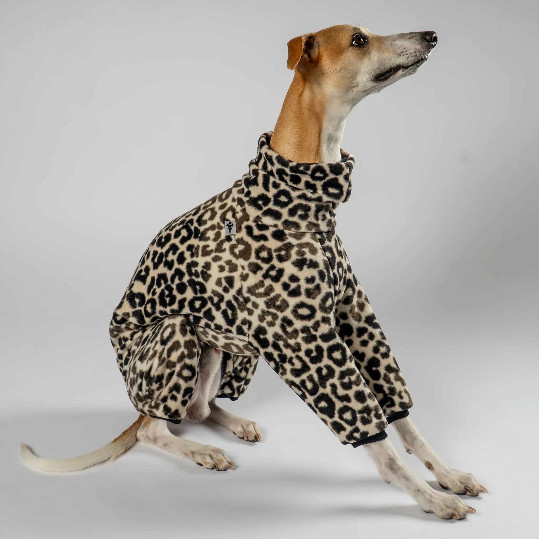OVERALL Windhund Leo - Image 6