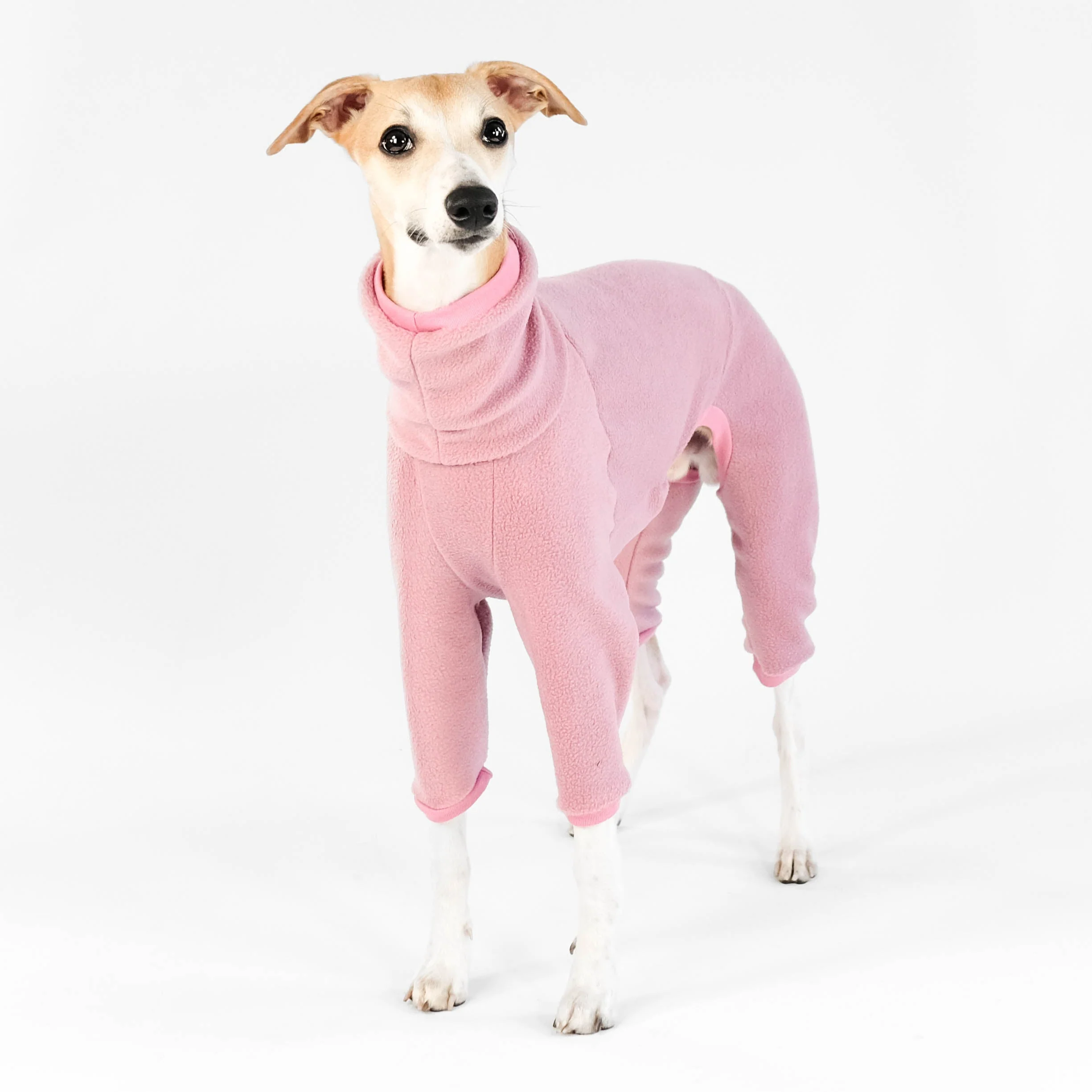 OVERALL Windhund Mulberry - Image 4