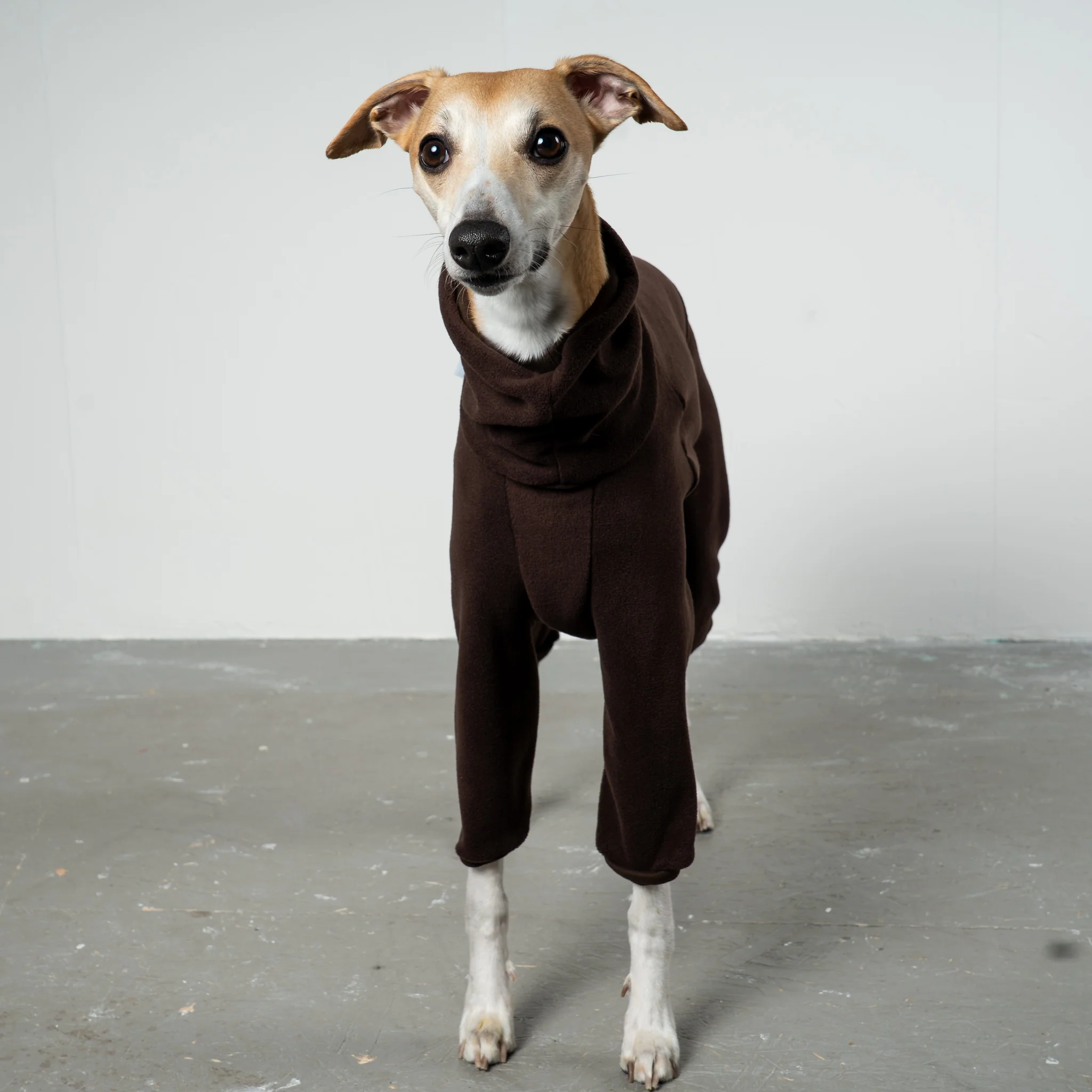 OVERALL Windhund Espresso - Image 3
