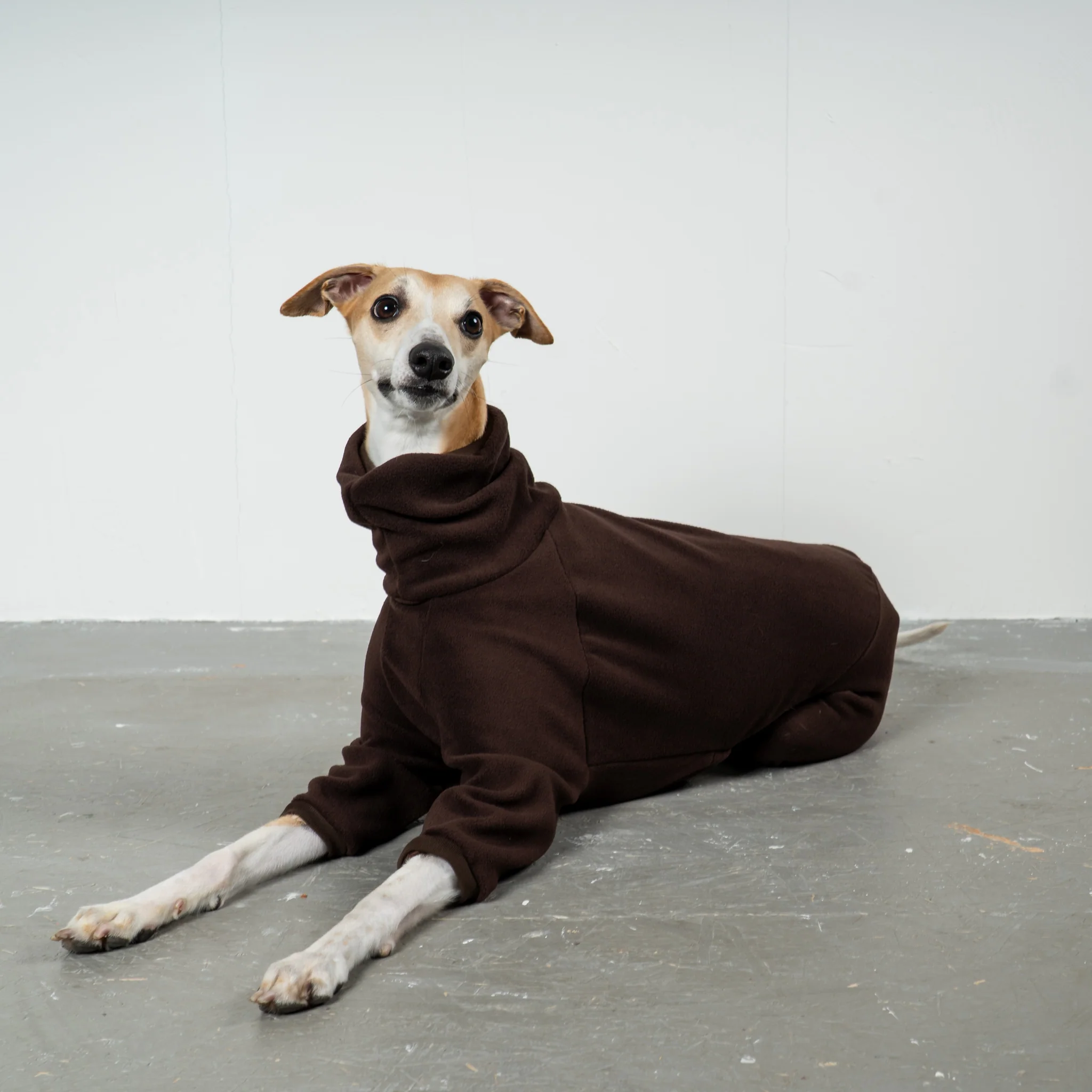OVERALL Windhund Espresso - Image 4