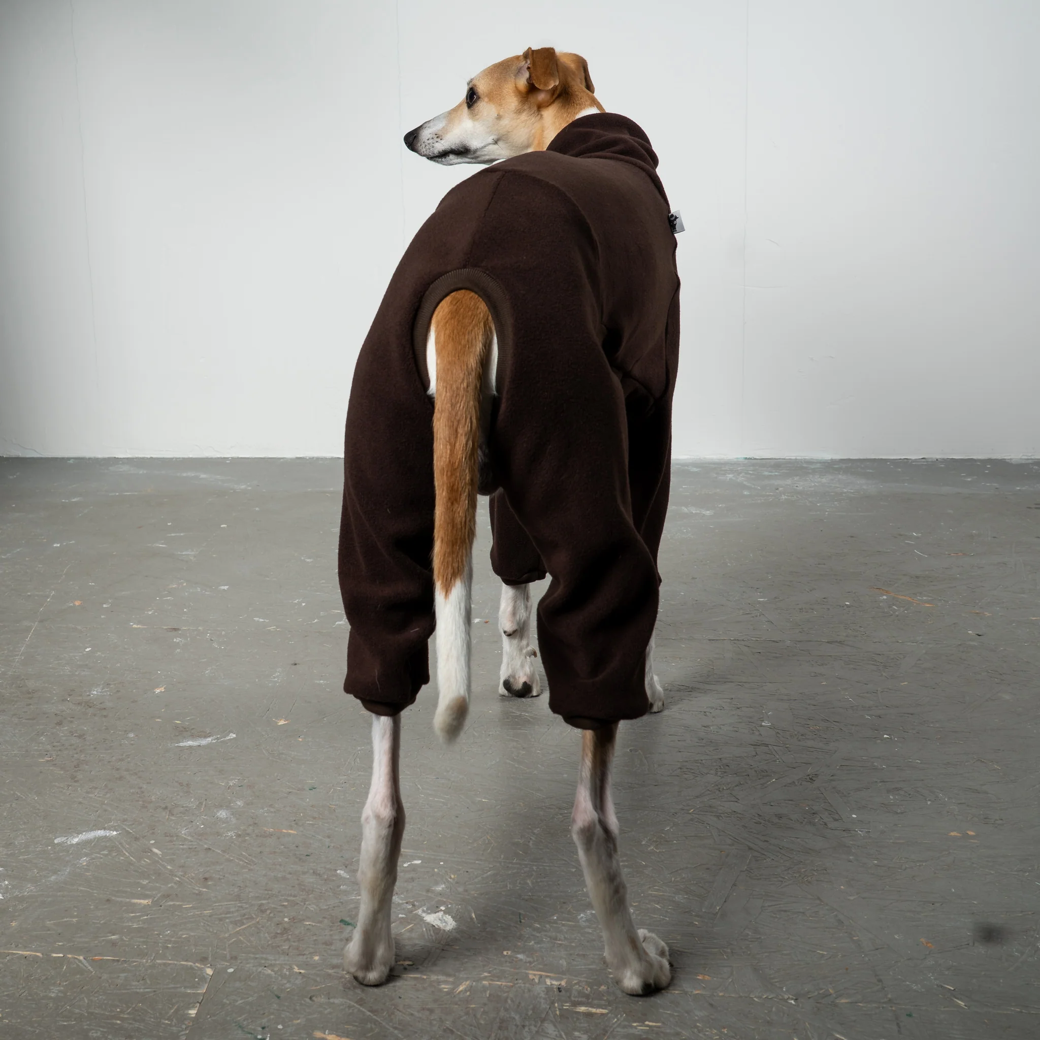 OVERALL Windhund Espresso - Image 5