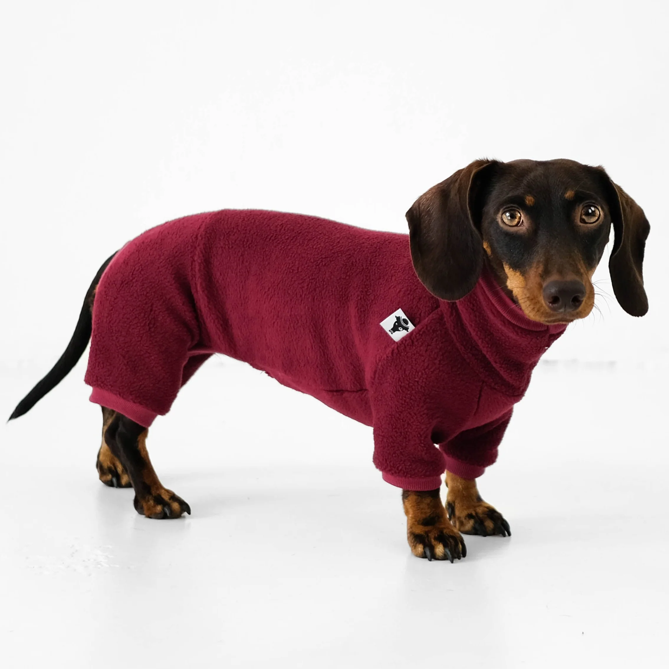 OVERALL Dackel Bordeaux - Image 5