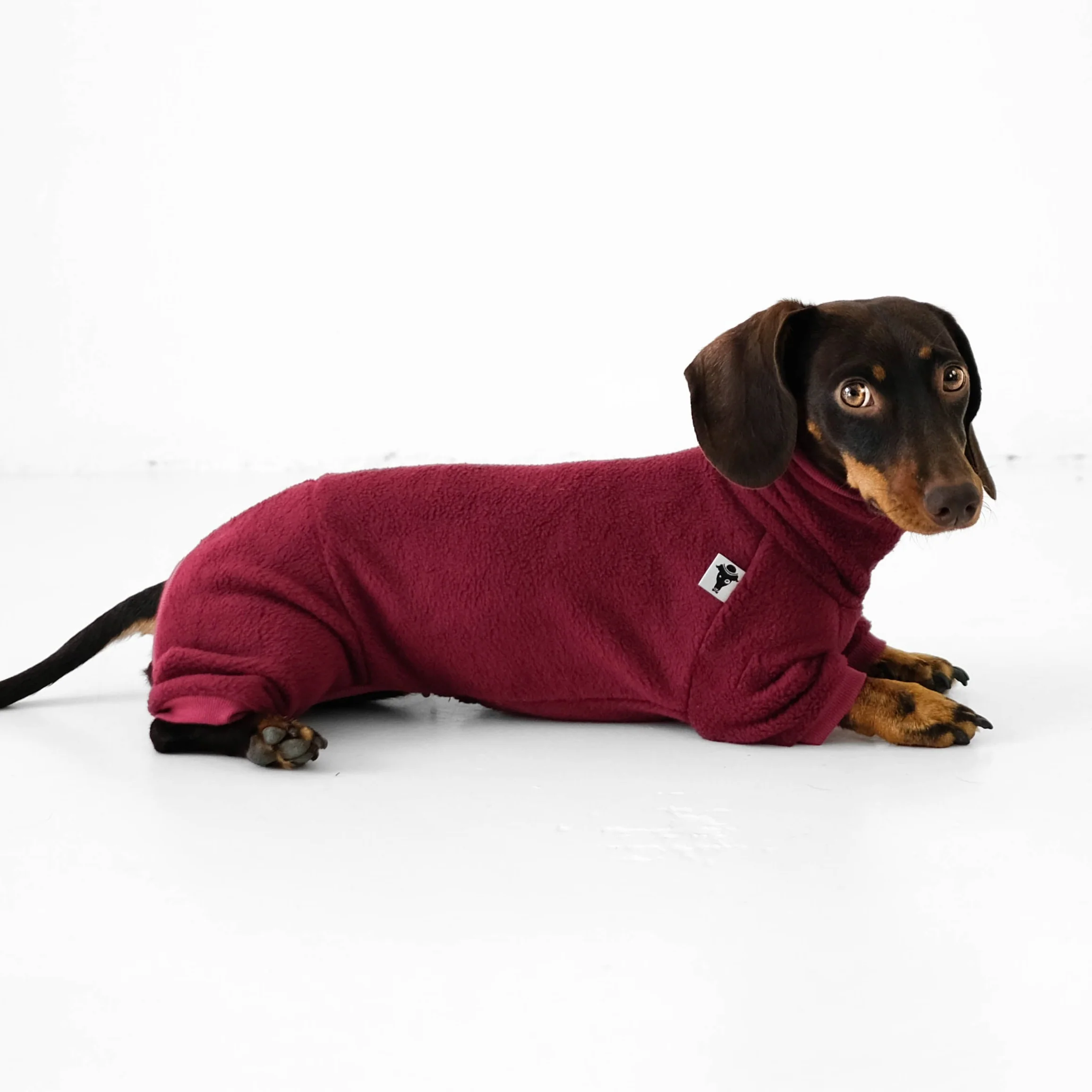 OVERALL Dackel Bordeaux - Image 6