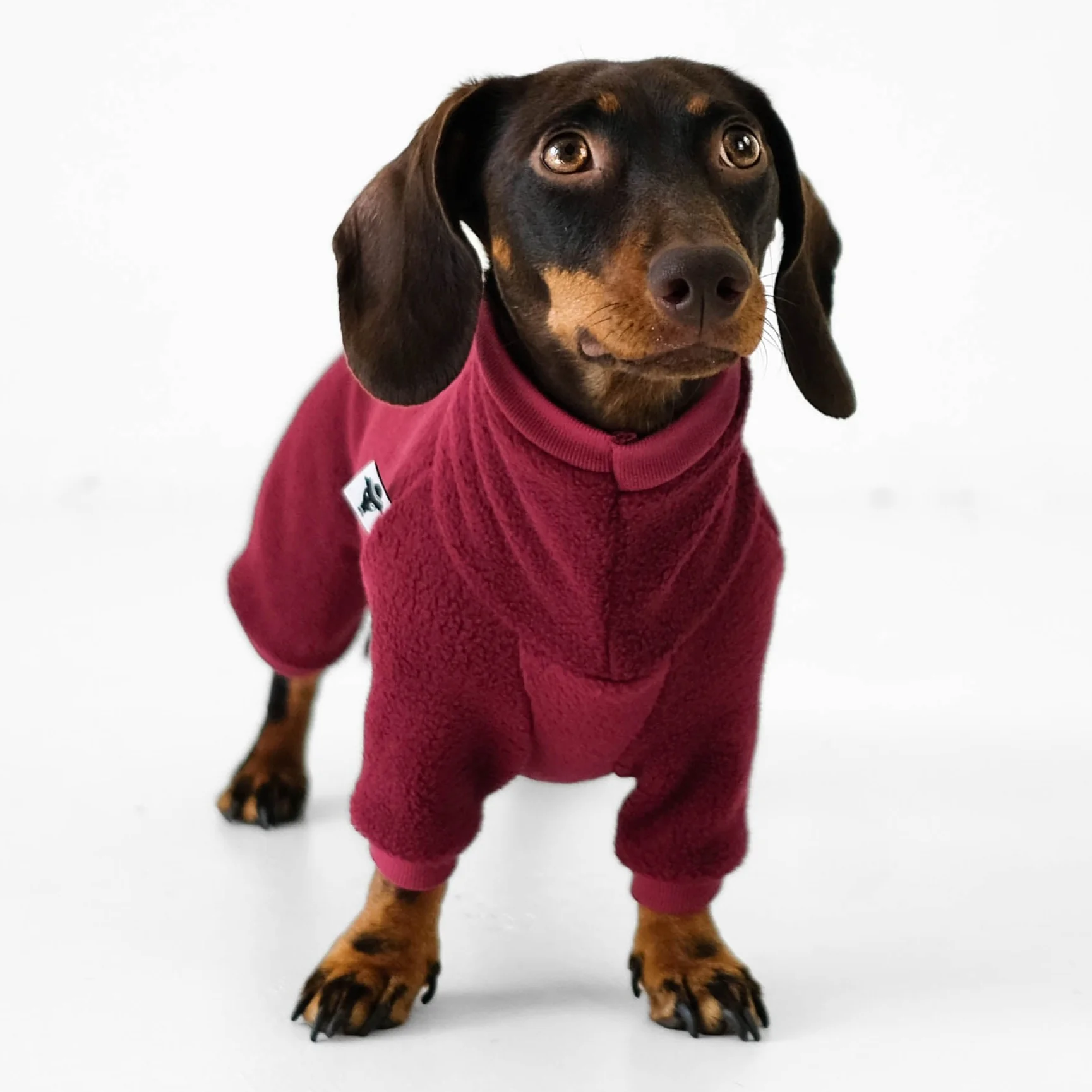 OVERALL Dackel Bordeaux - Image 8