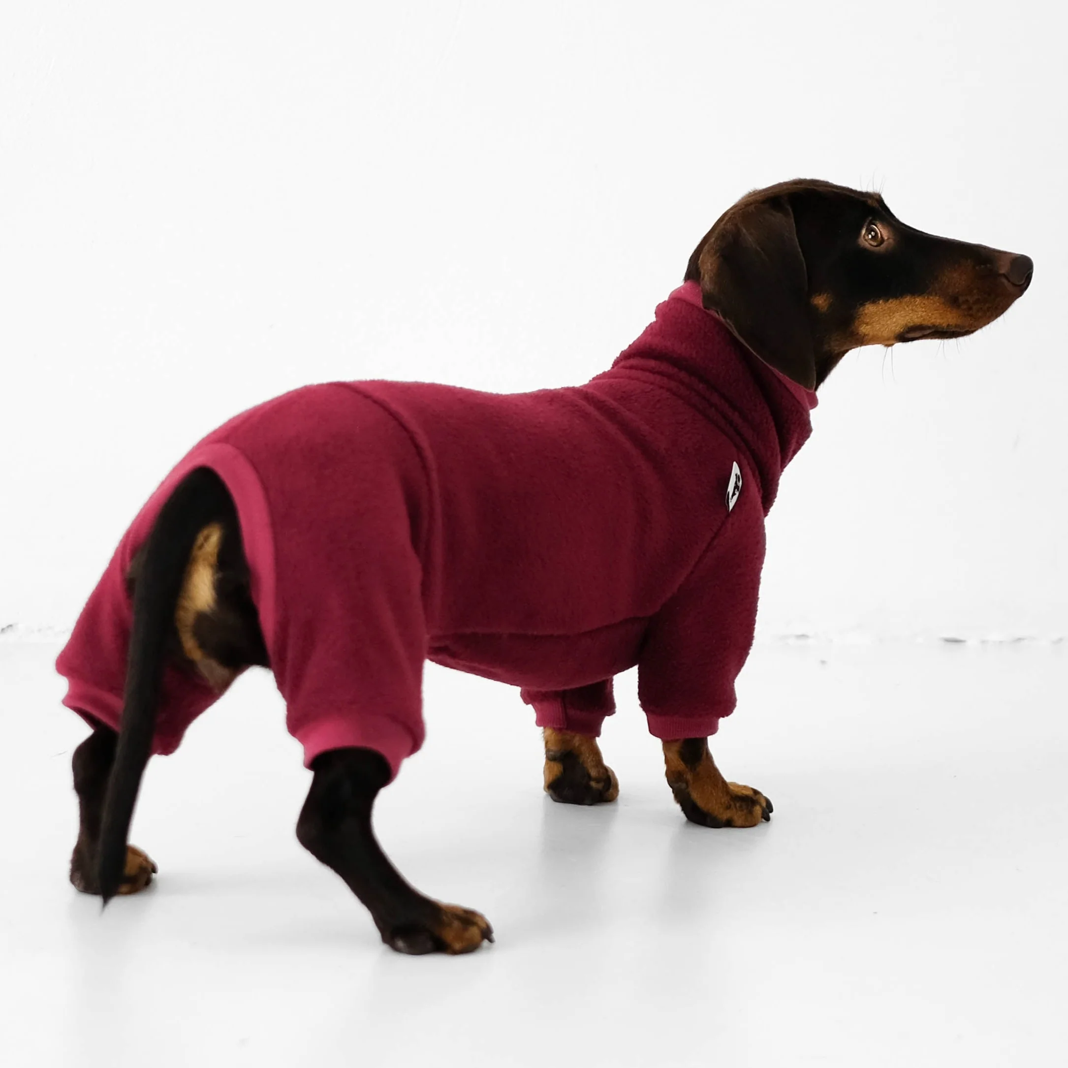 OVERALL Dackel Bordeaux - Image 9