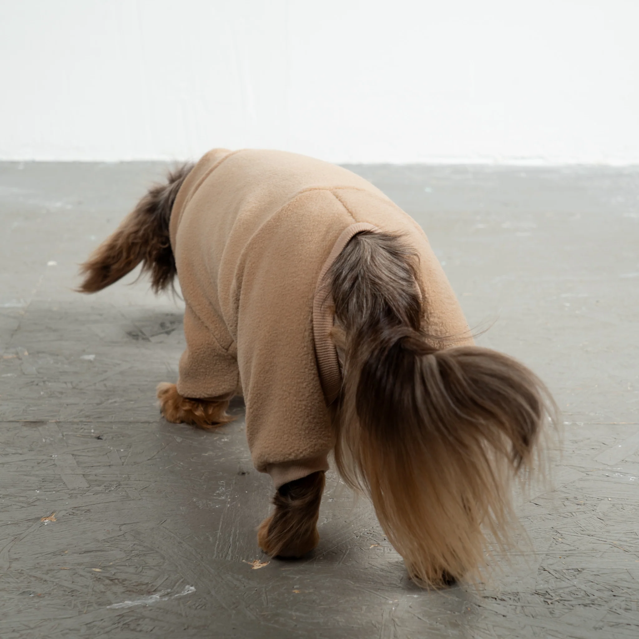 OVERALL Dackel Camel - Image 3
