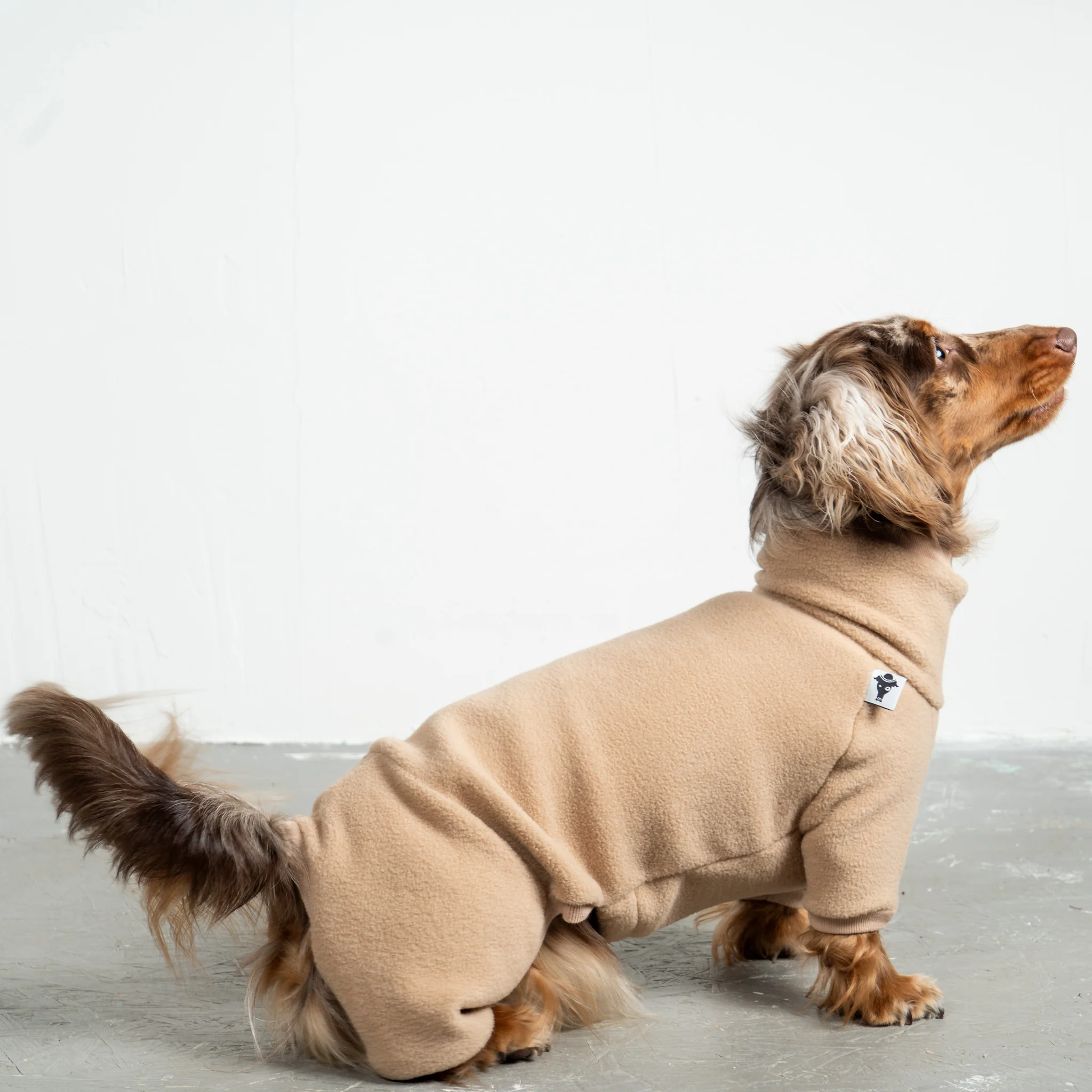 OVERALL Dackel Camel - Image 4