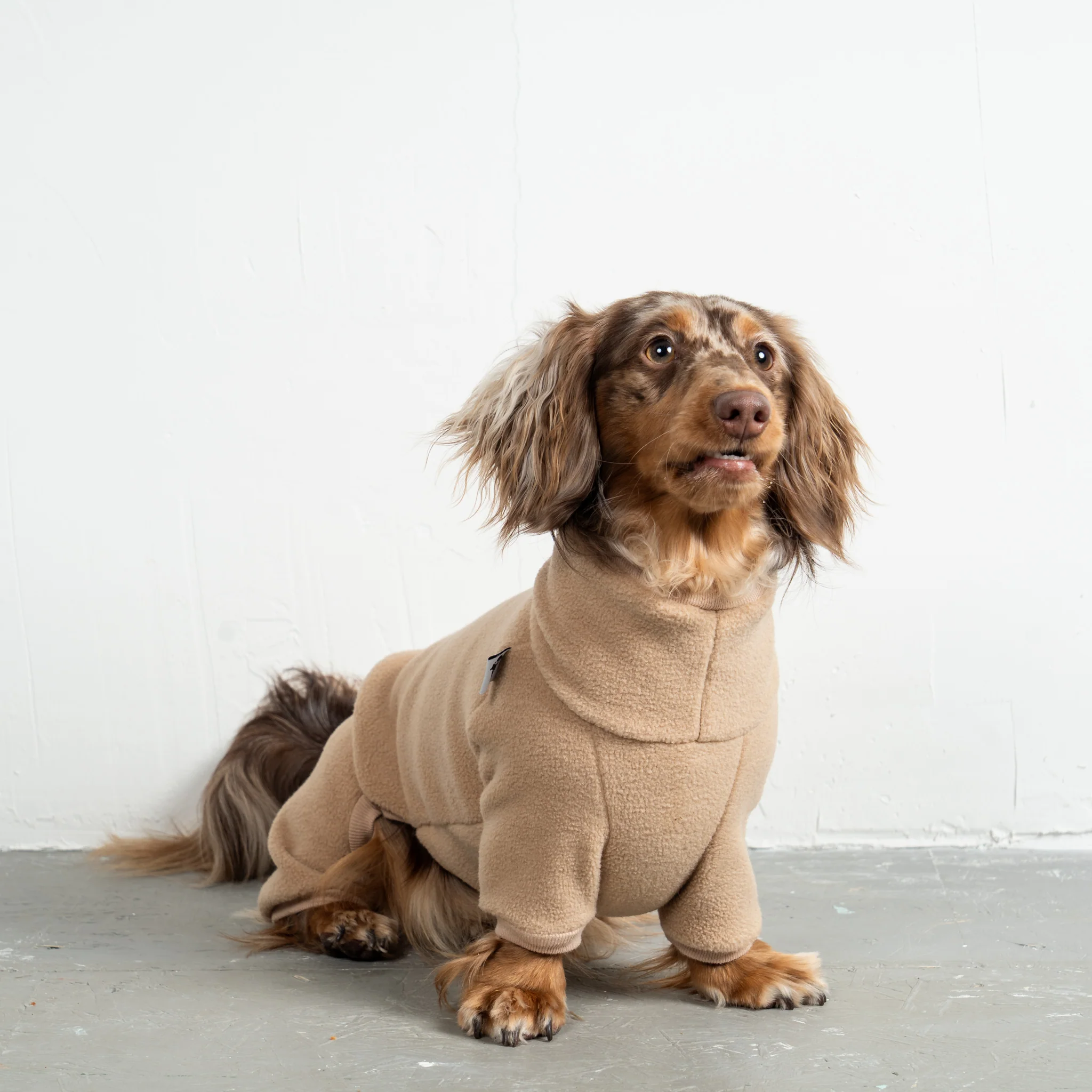 OVERALL Dackel Camel - Image 5