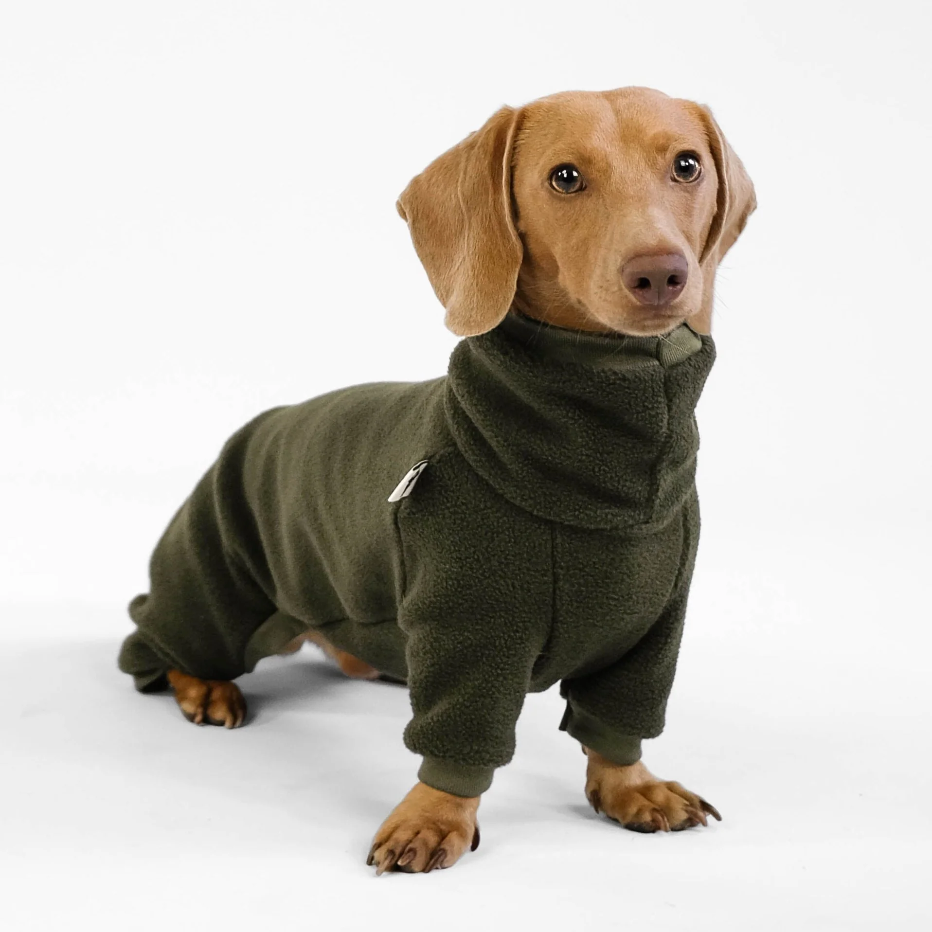 OVERALL Dackel Dark Olive - Image 5