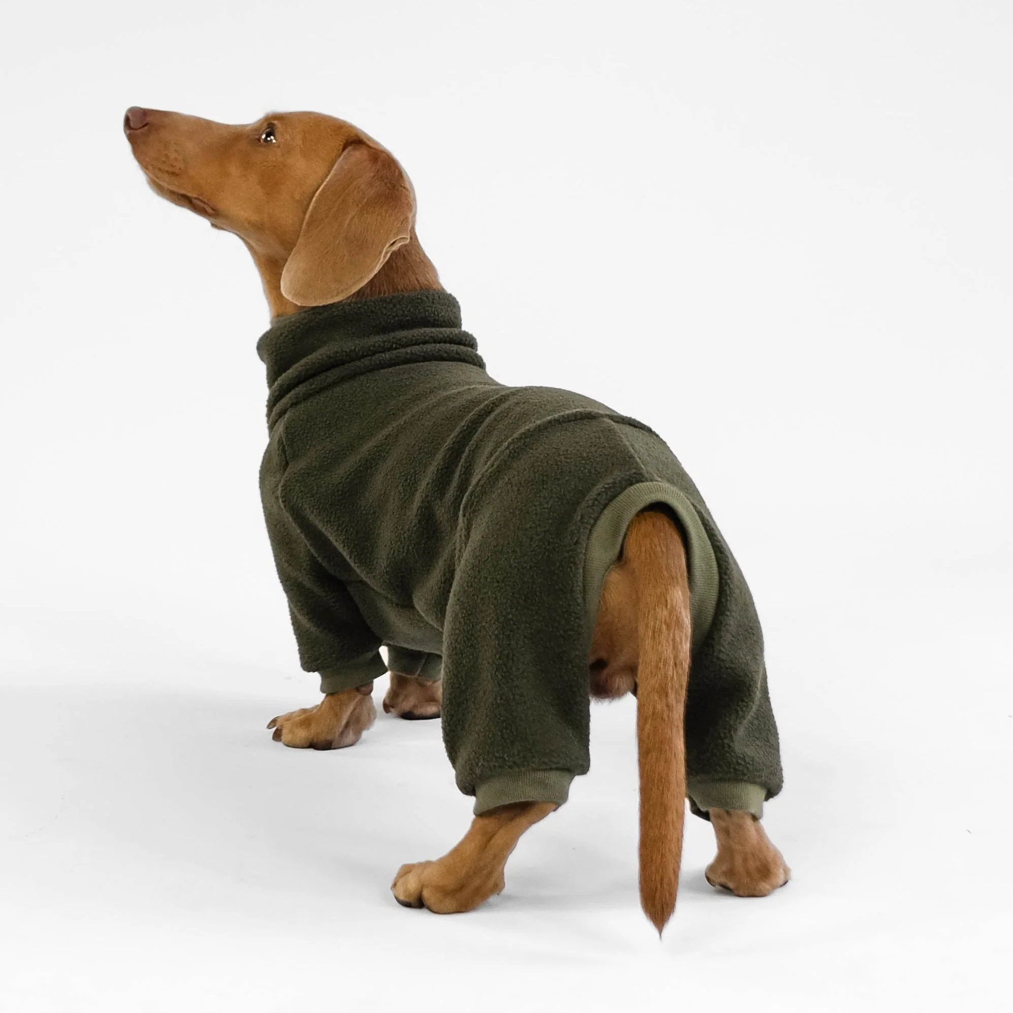 OVERALL Dackel Dark Olive - Image 7