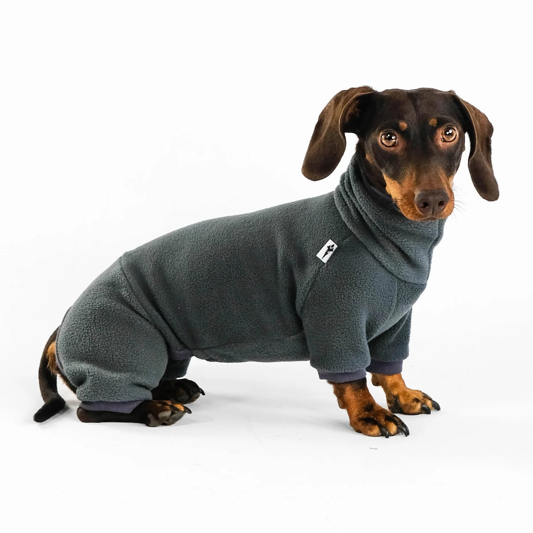OVERALL Dackel Graphite - Image 4