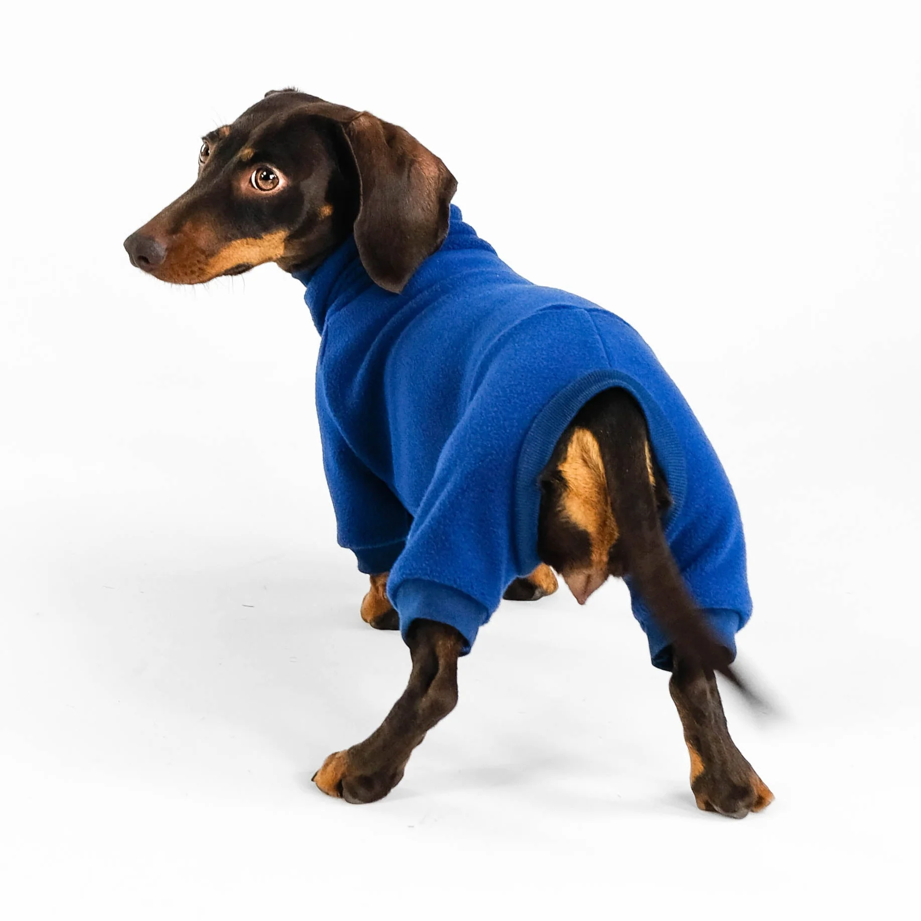 OVERALL Dackel Navy - Image 4