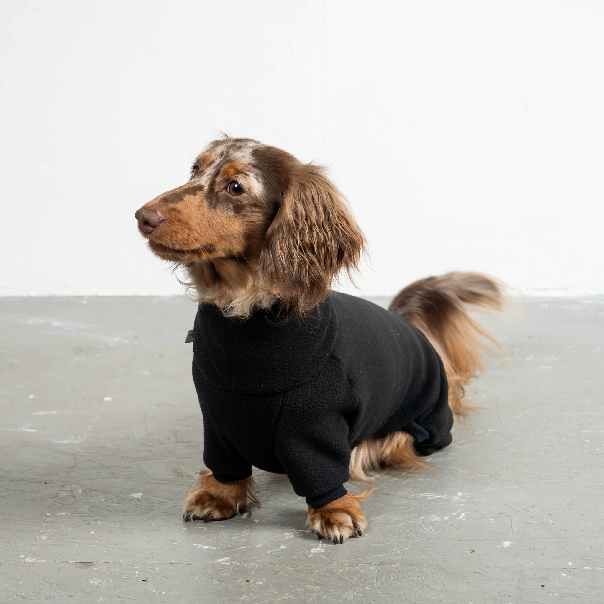 OVERALL Dackel Schwarz - Image 3