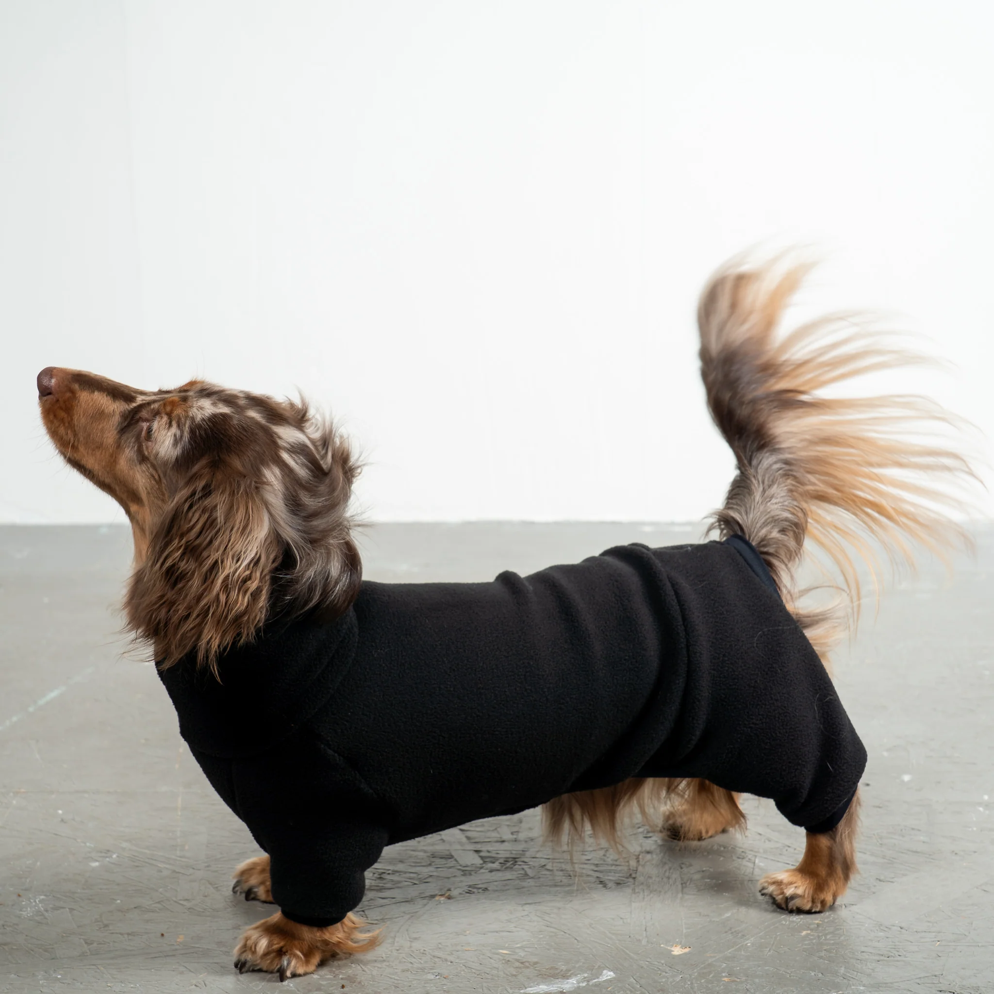 OVERALL Dackel Schwarz - Image 4