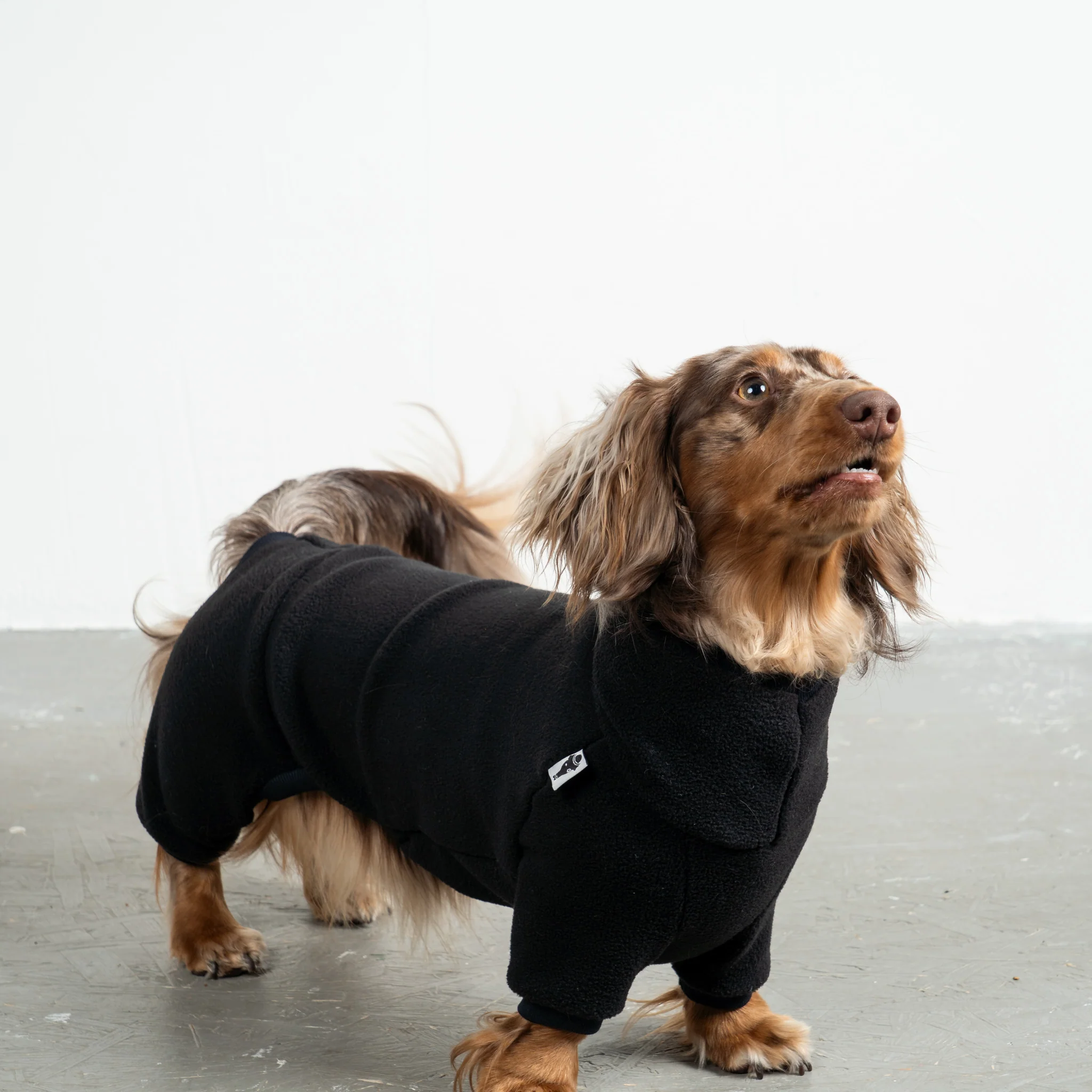 OVERALL Dackel Schwarz - Image 5