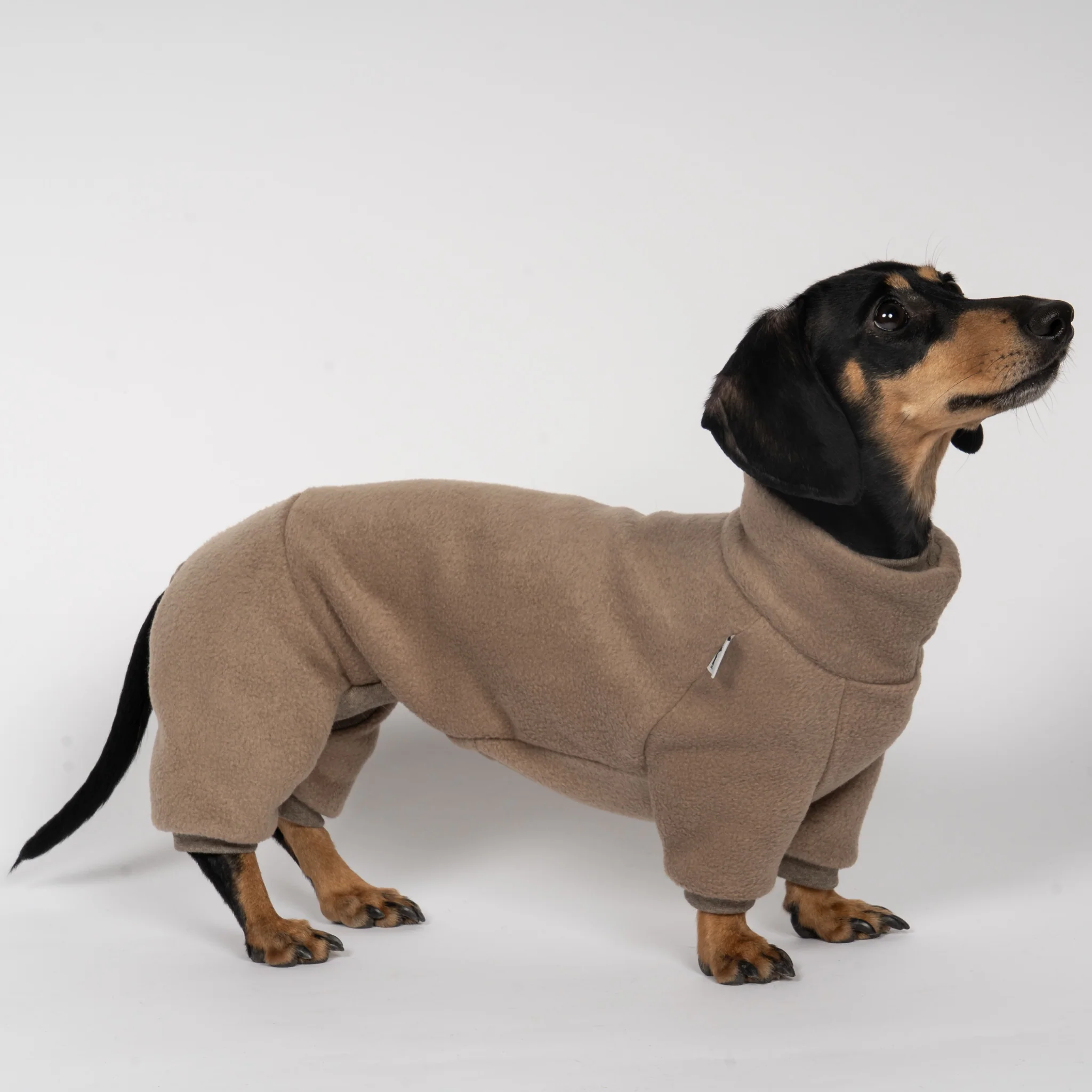 OVERALL Dackel Walnut - Image 4