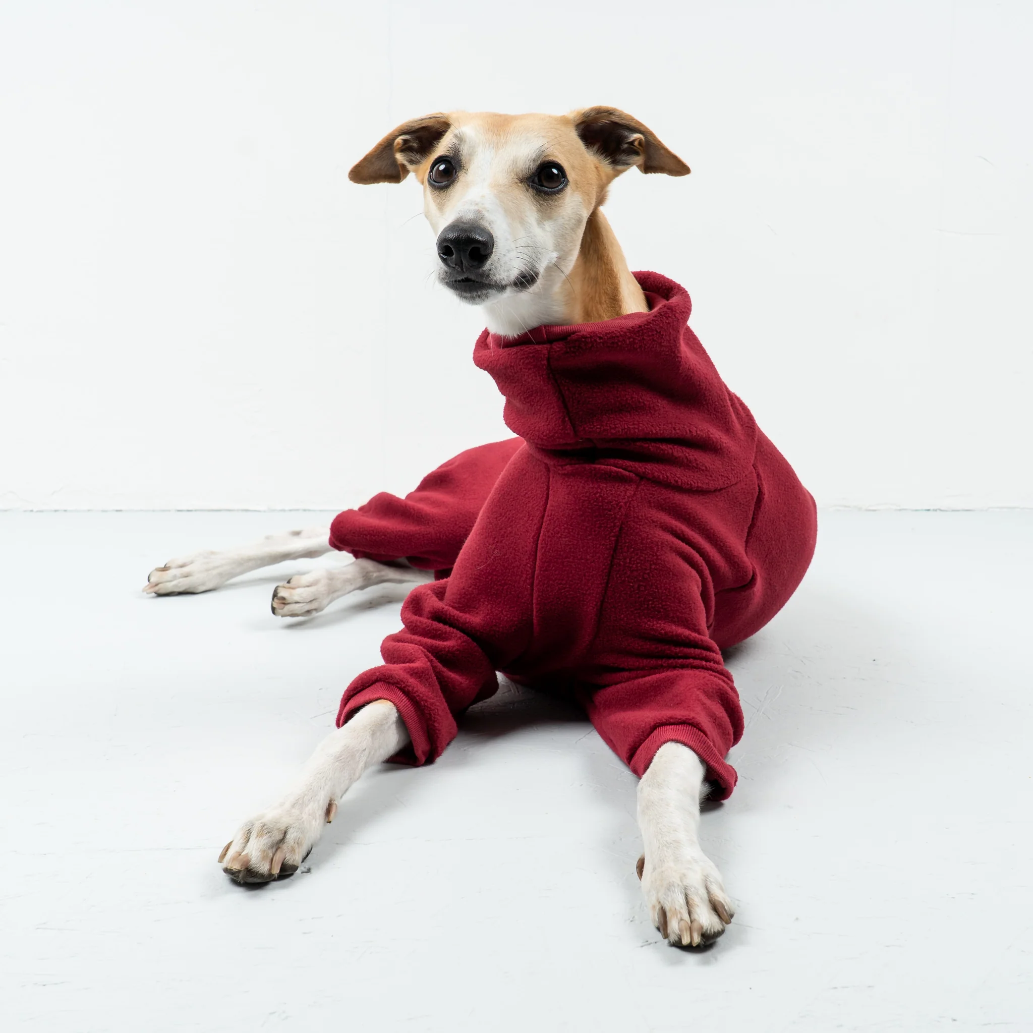 OVERALL Windhund Bordeaux - Image 3