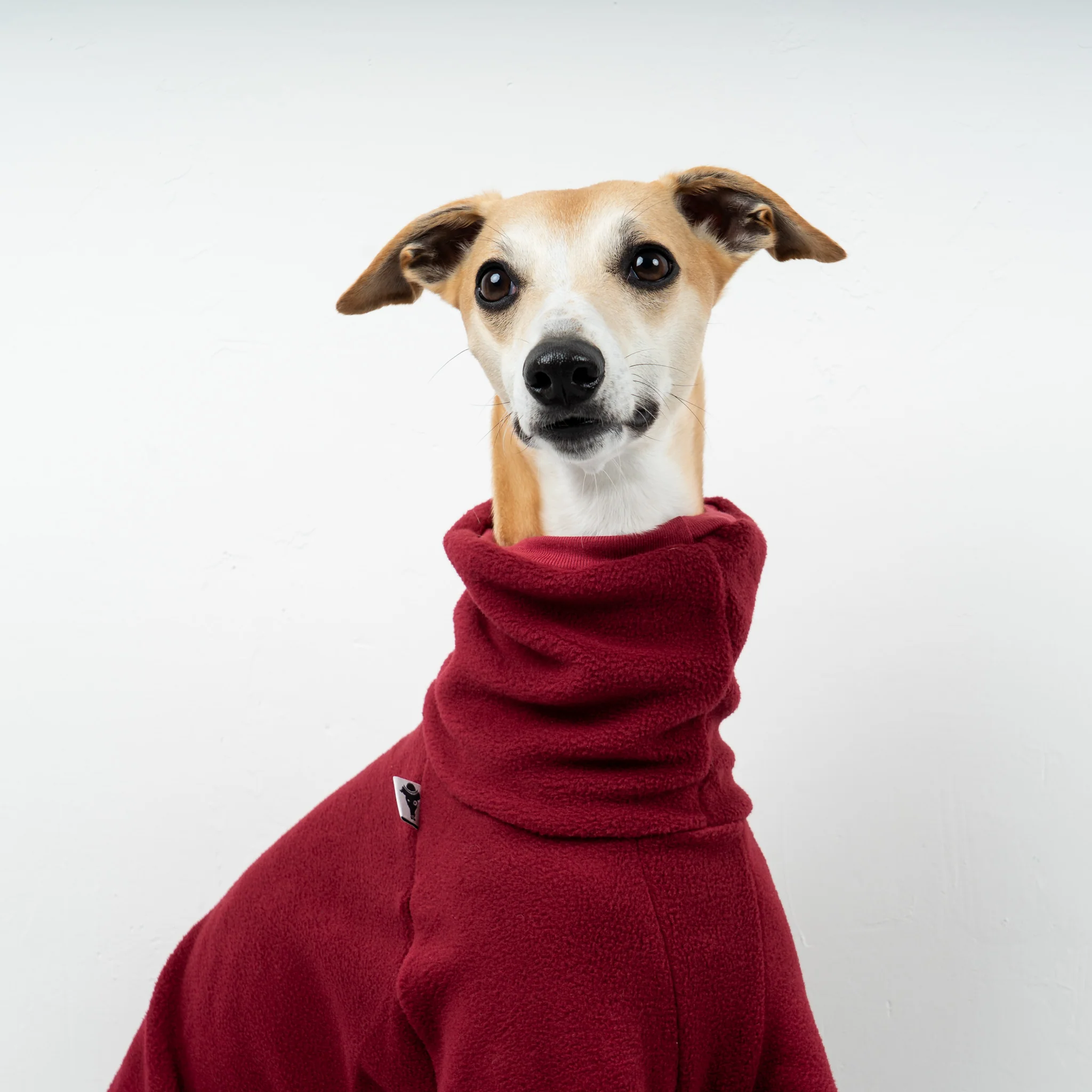 OVERALL Windhund Bordeaux - Image 4