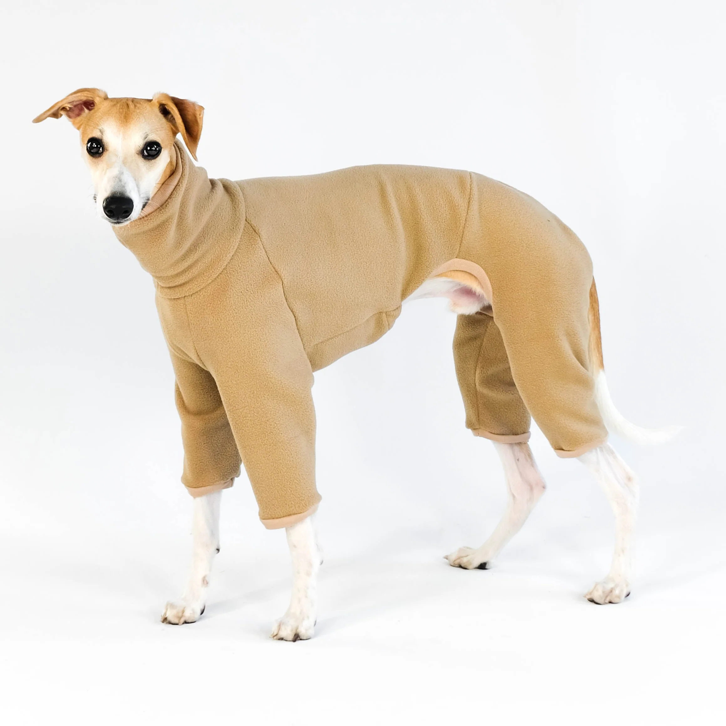OVERALL Windhund Camel - Image 5