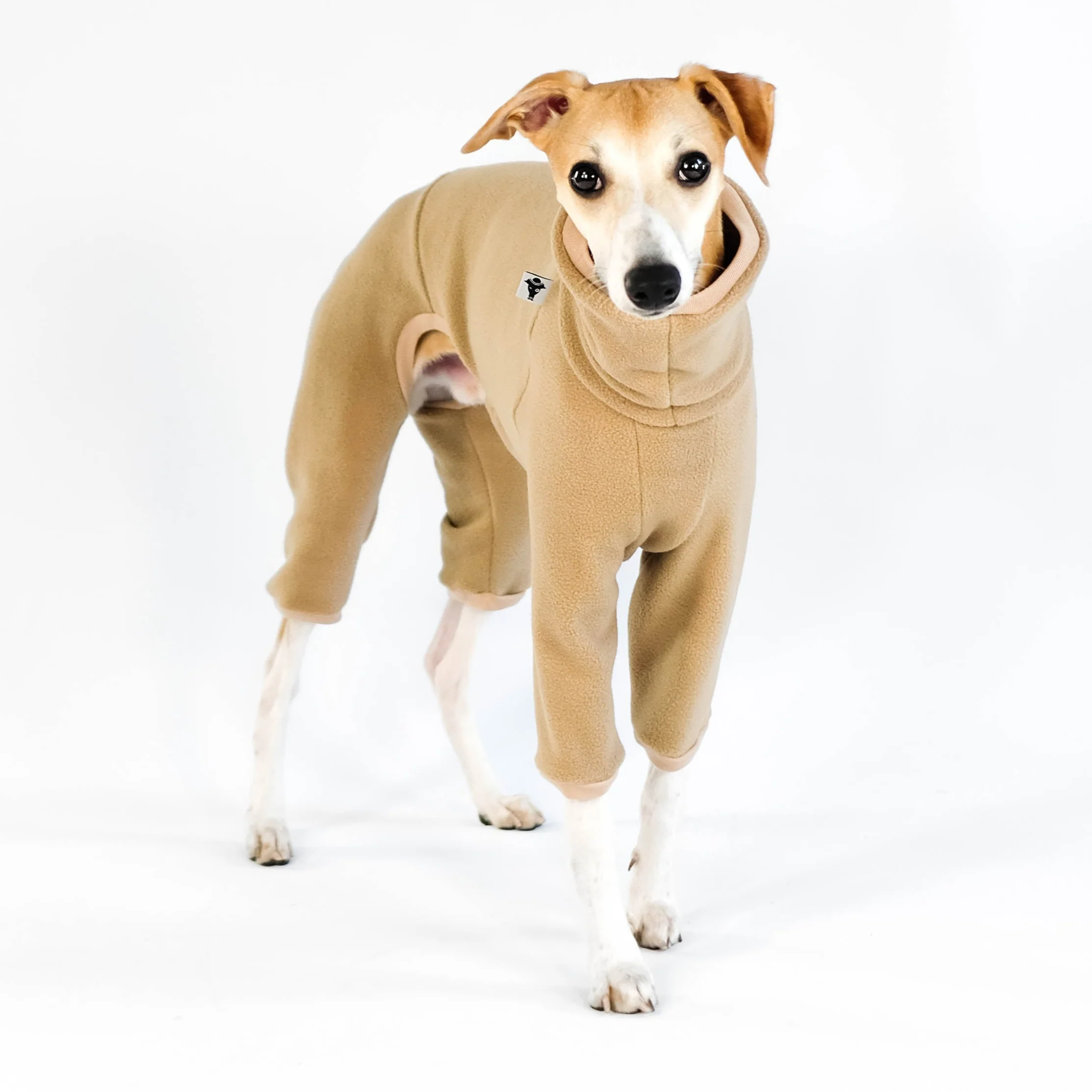 OVERALL Windhund Camel - Image 6
