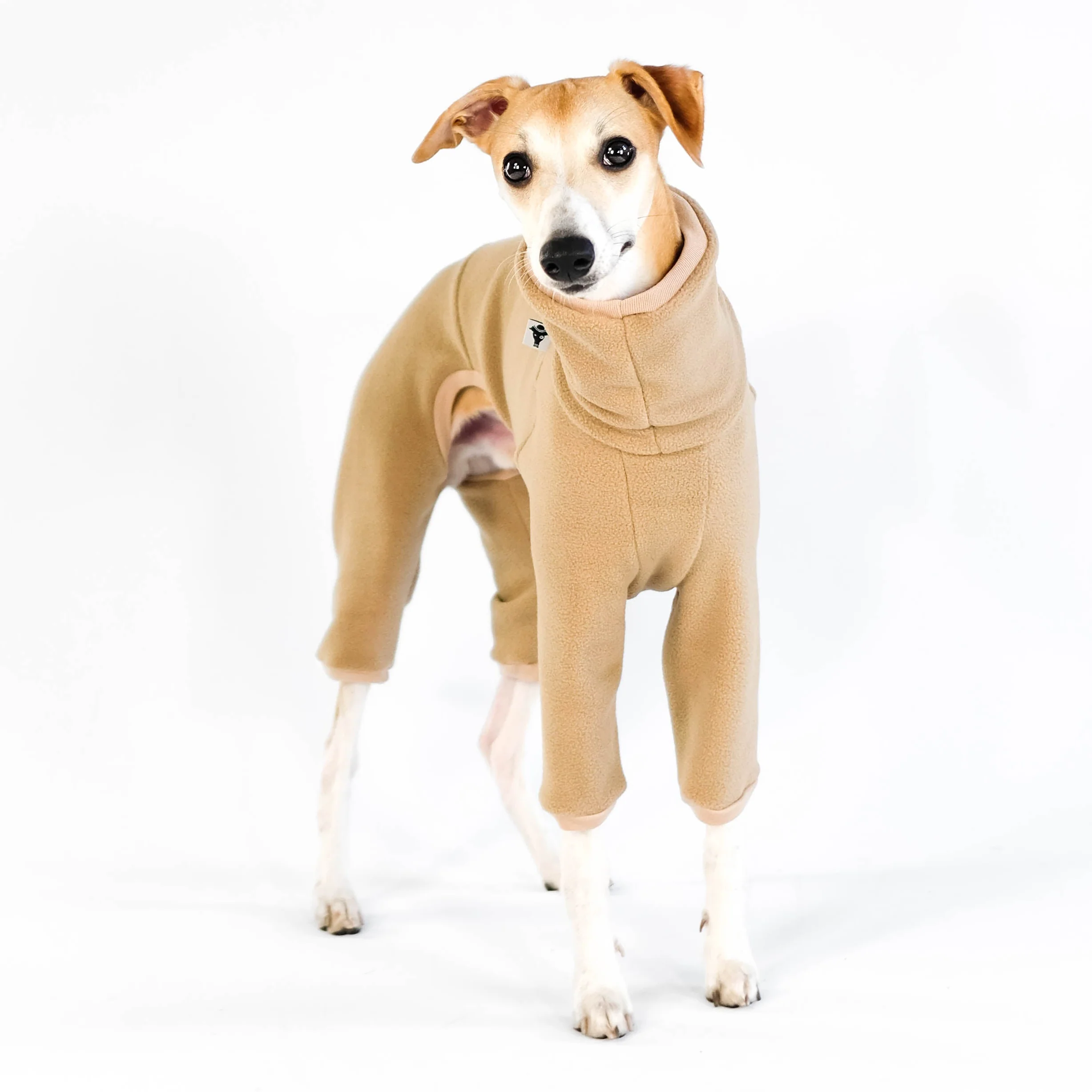 OVERALL Windhund Camel - Image 8