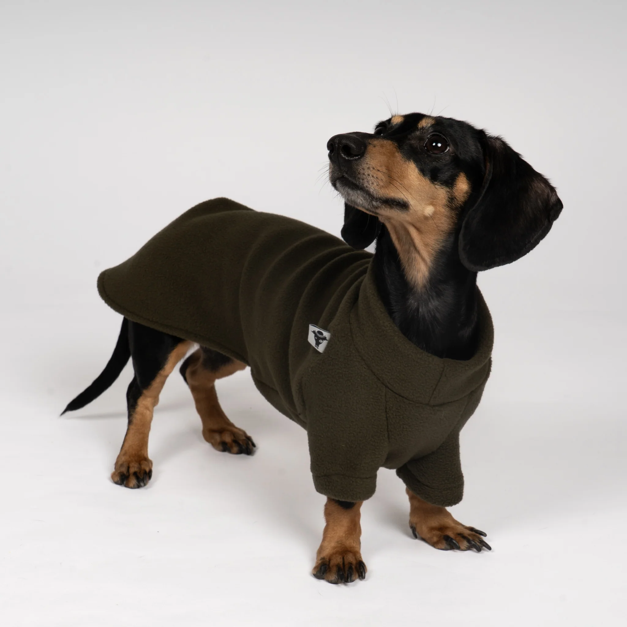 PULLOVER Dackel Dark Olive - Image 3