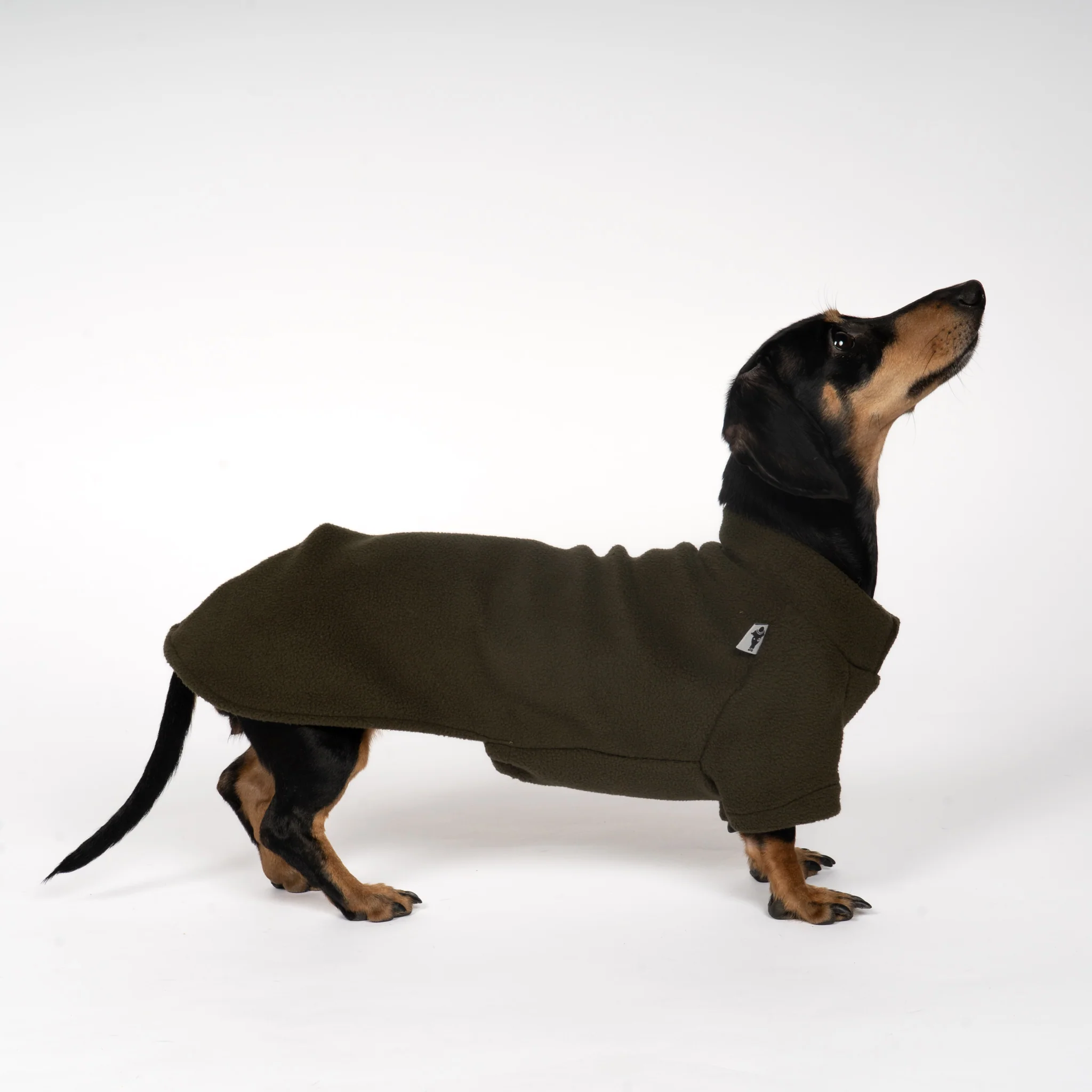 PULLOVER Dackel Dark Olive - Image 5