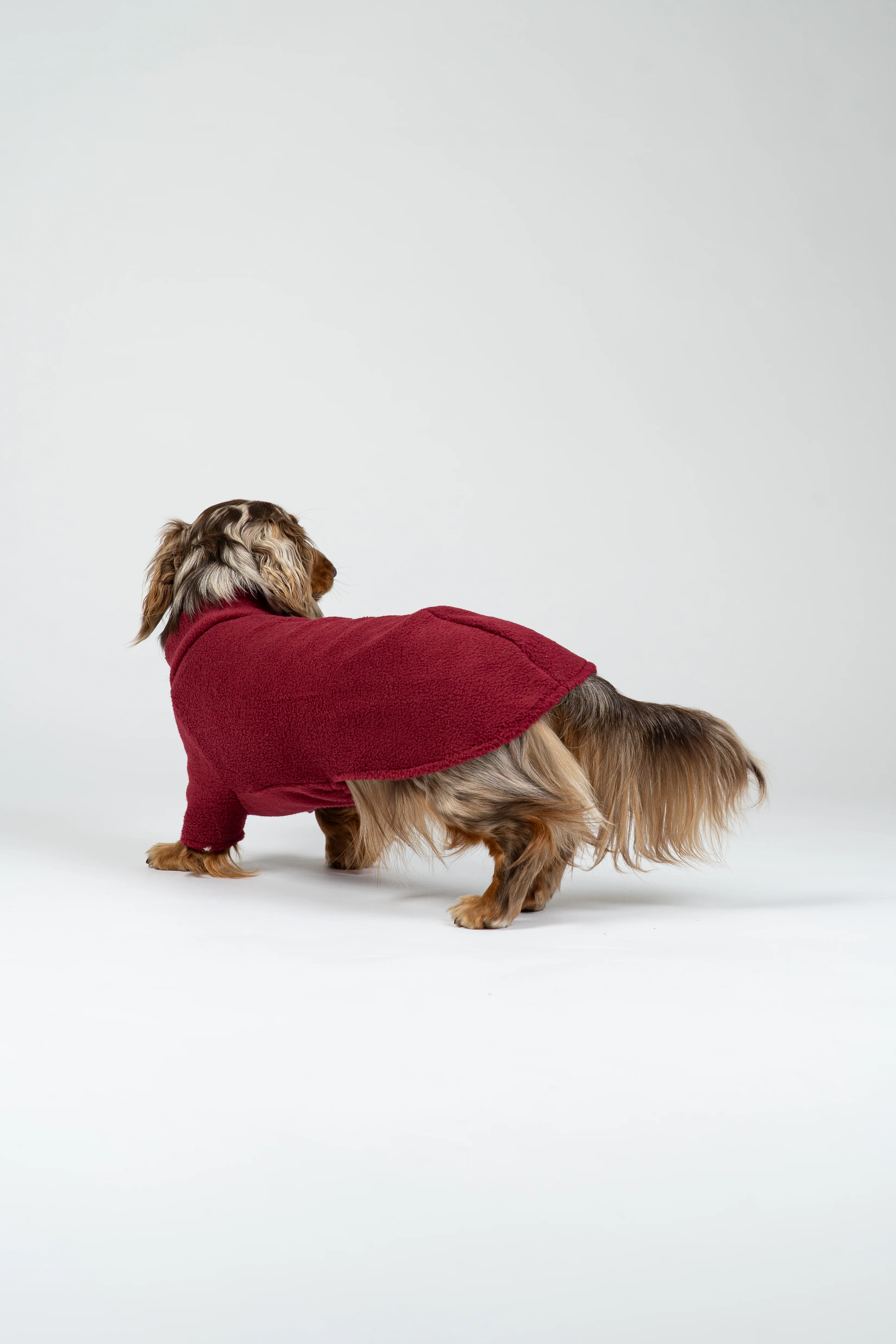 PULLOVER Dackel Bordeaux - Image 4
