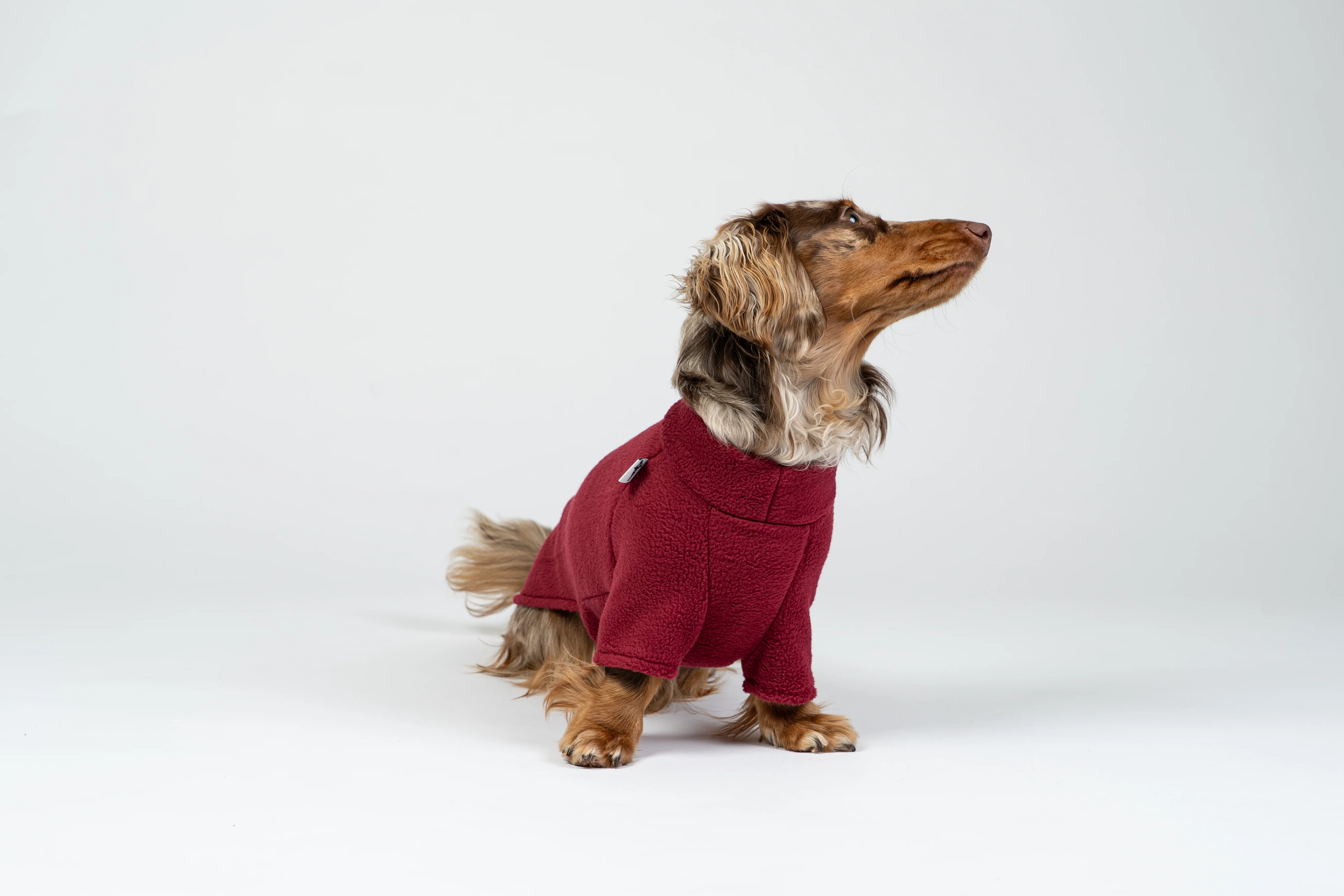 PULLOVER Dackel Bordeaux - Image 5