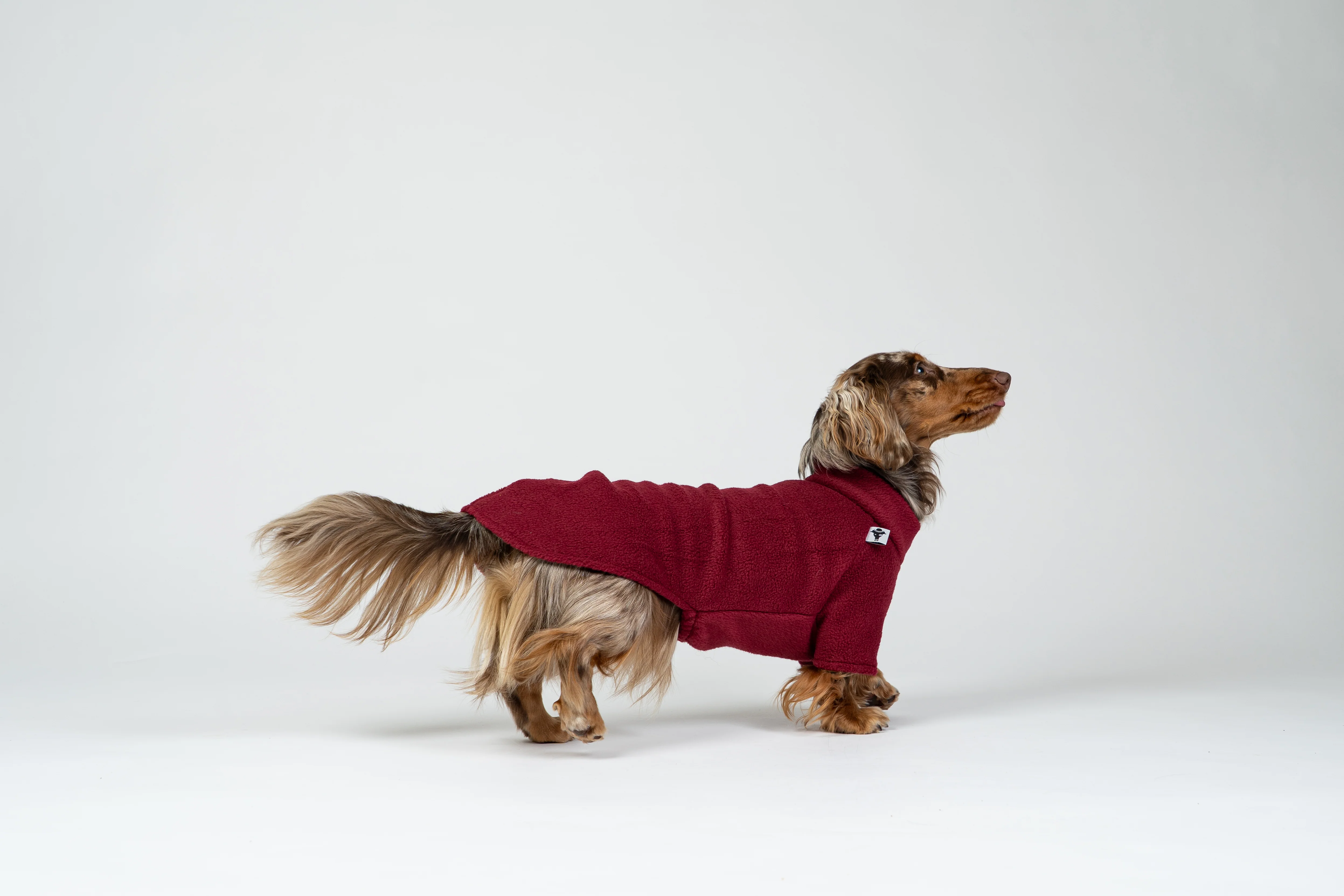 PULLOVER Dackel Bordeaux - Image 6