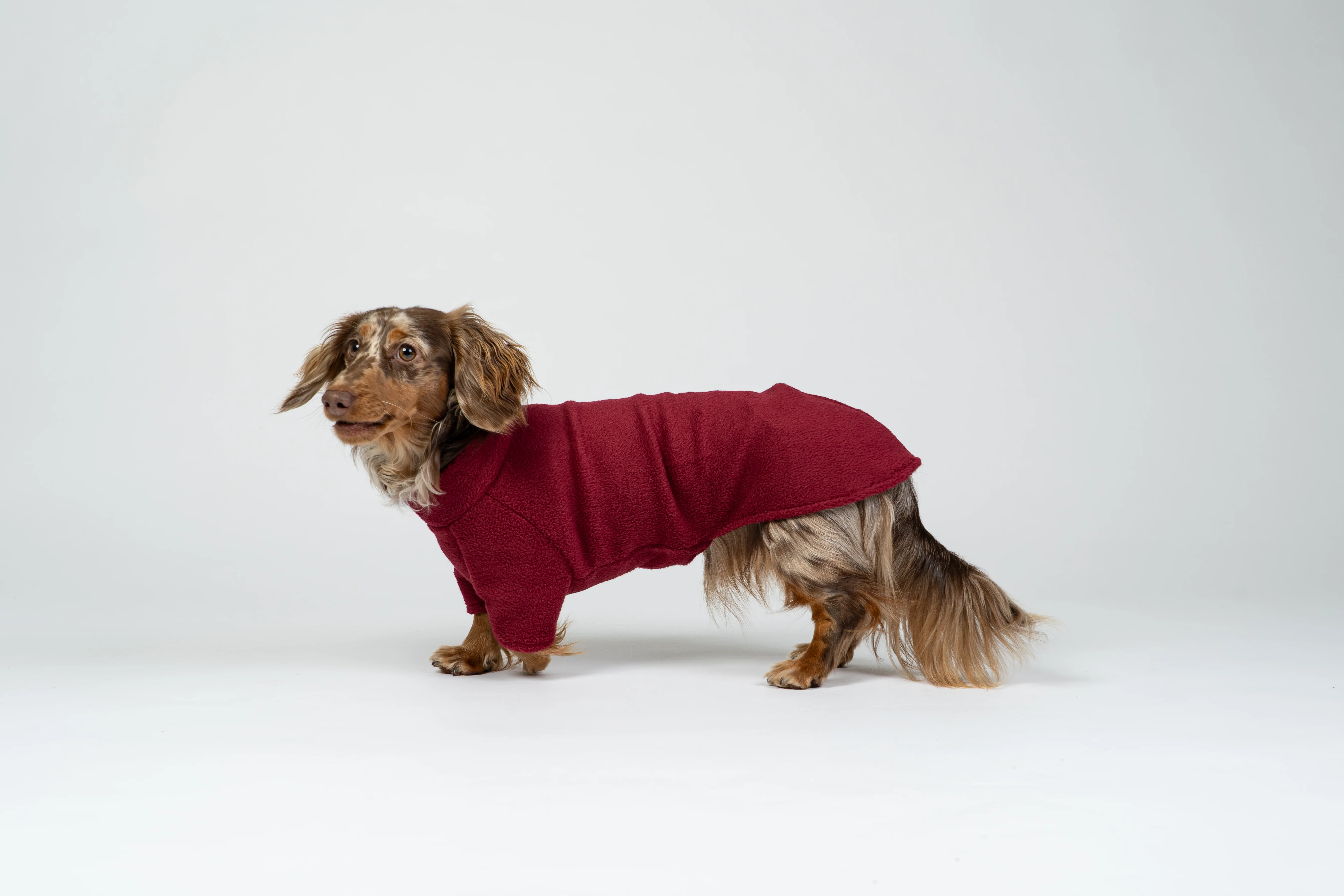 PULLOVER Dackel Bordeaux - Image 7