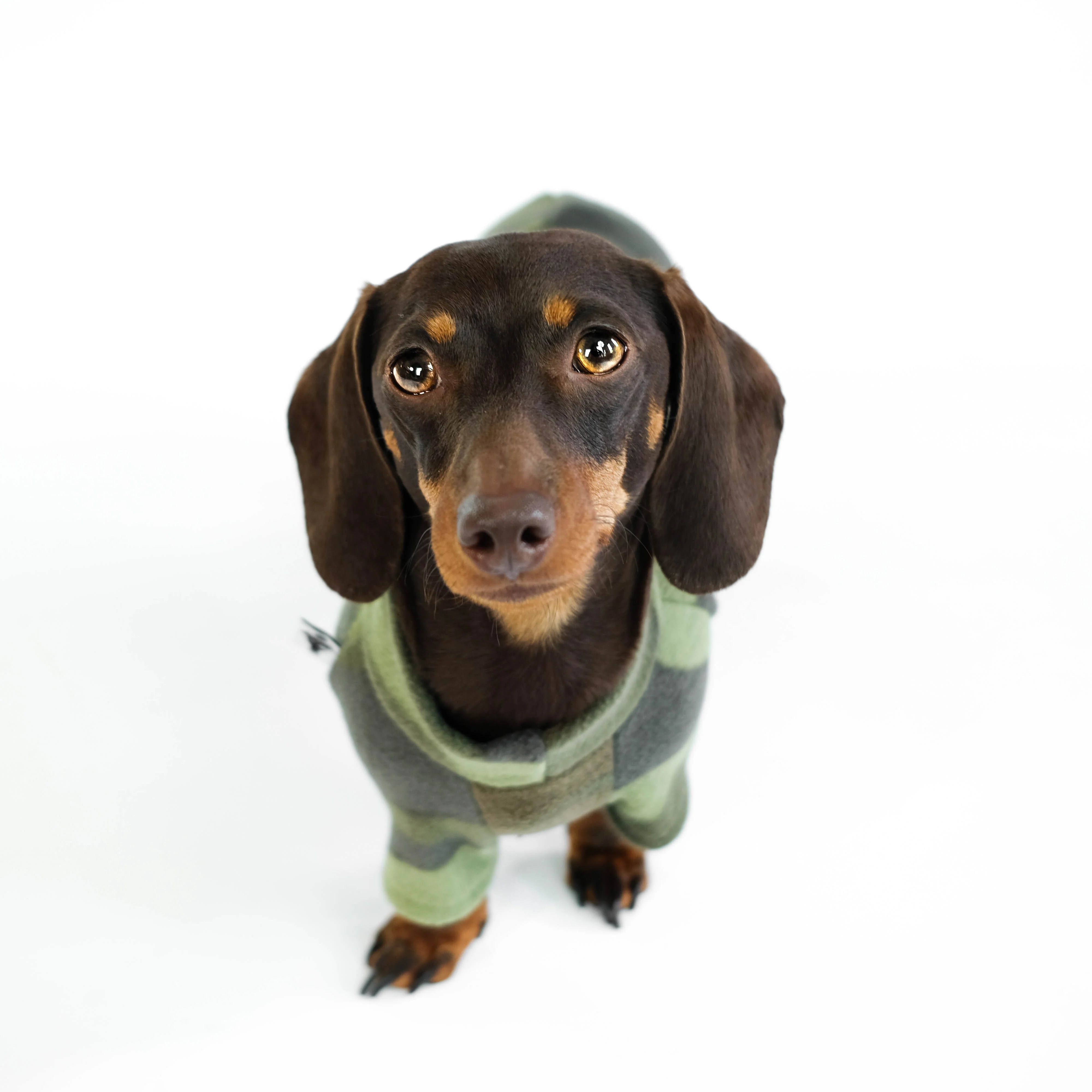 PULLOVER Dackel Camouflage - Image 6