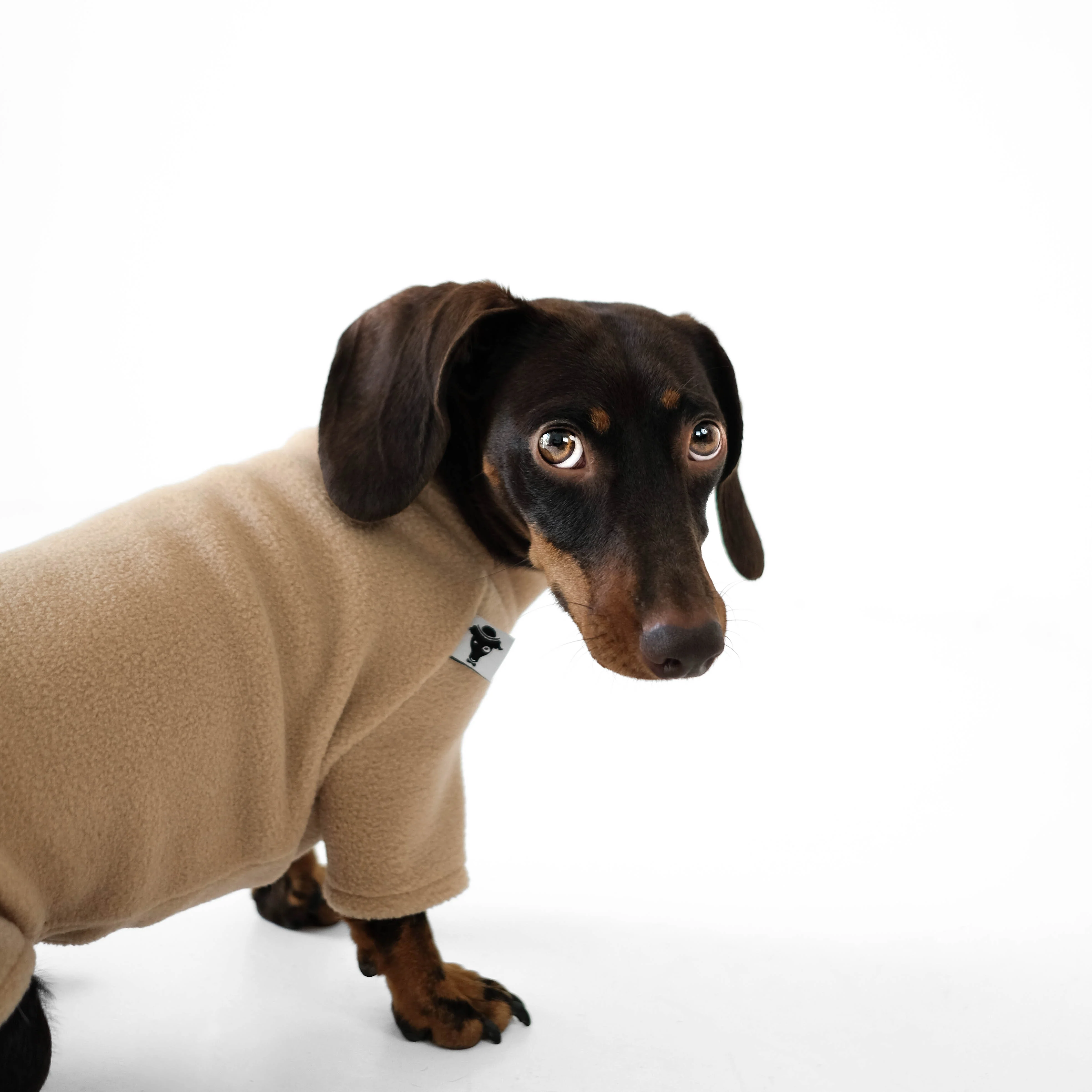 PULLOVER Dackel Camel - Image 7