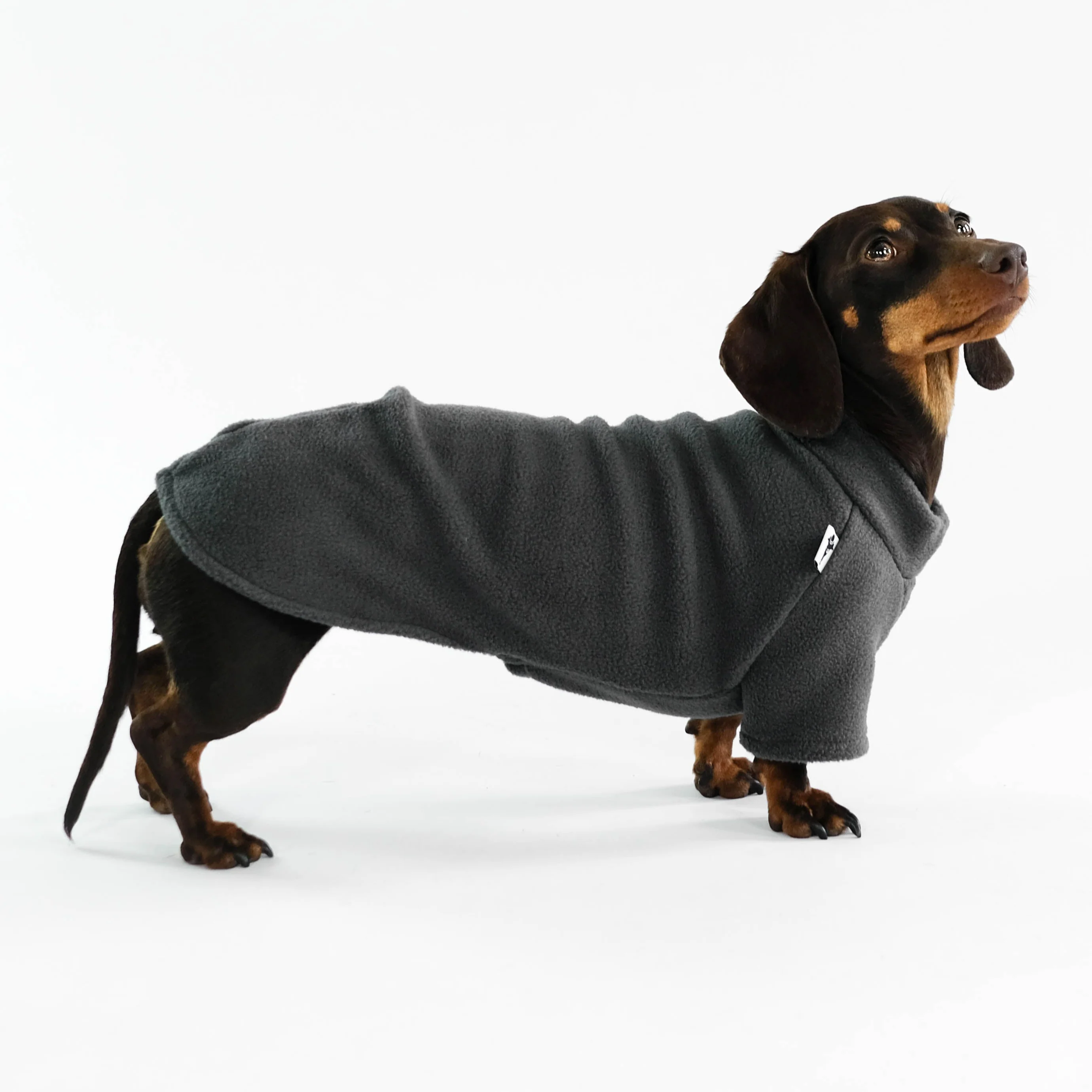 PULLOVER Dackel Graphite - Image 4