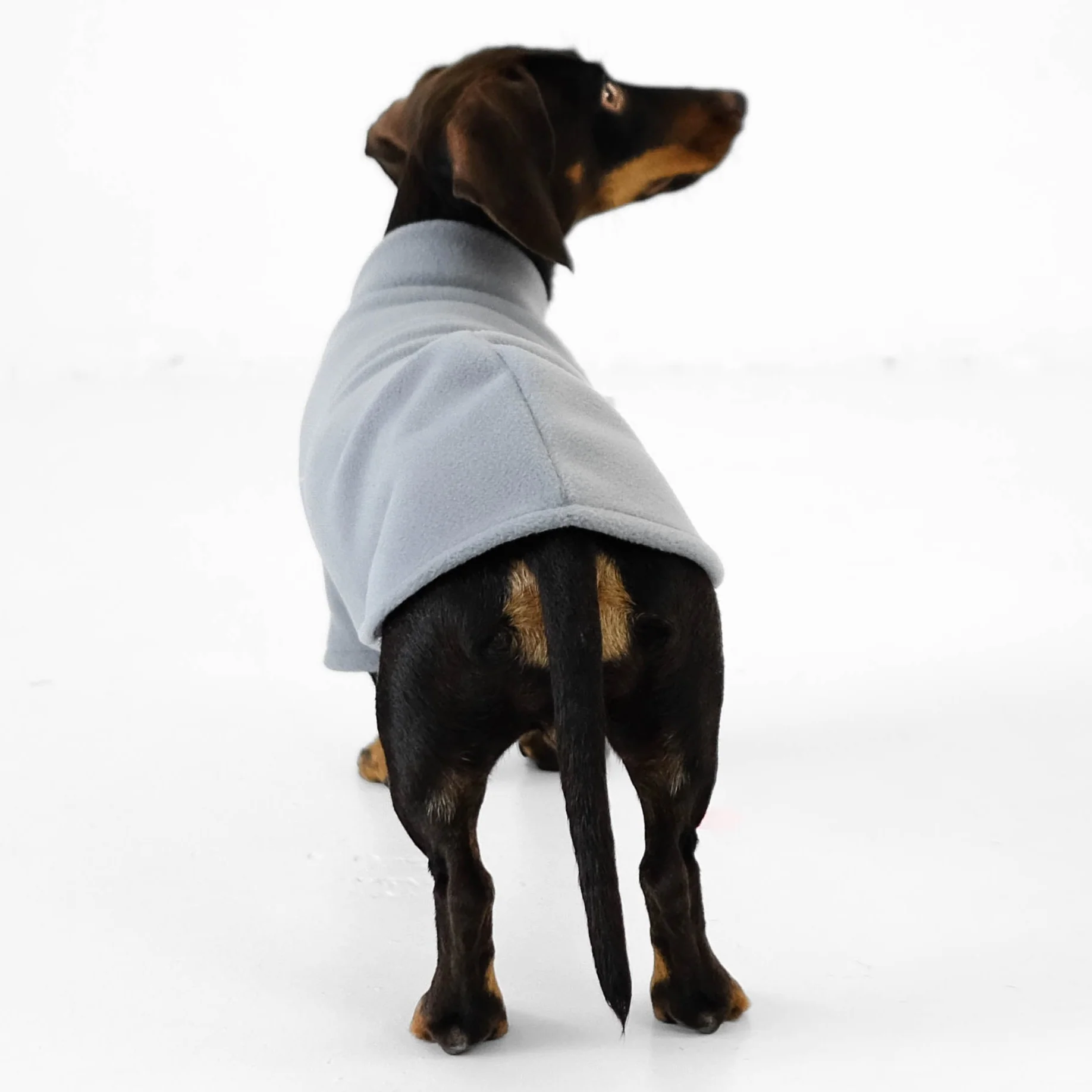 PULLOVER Dackel Light Grey - Image 7