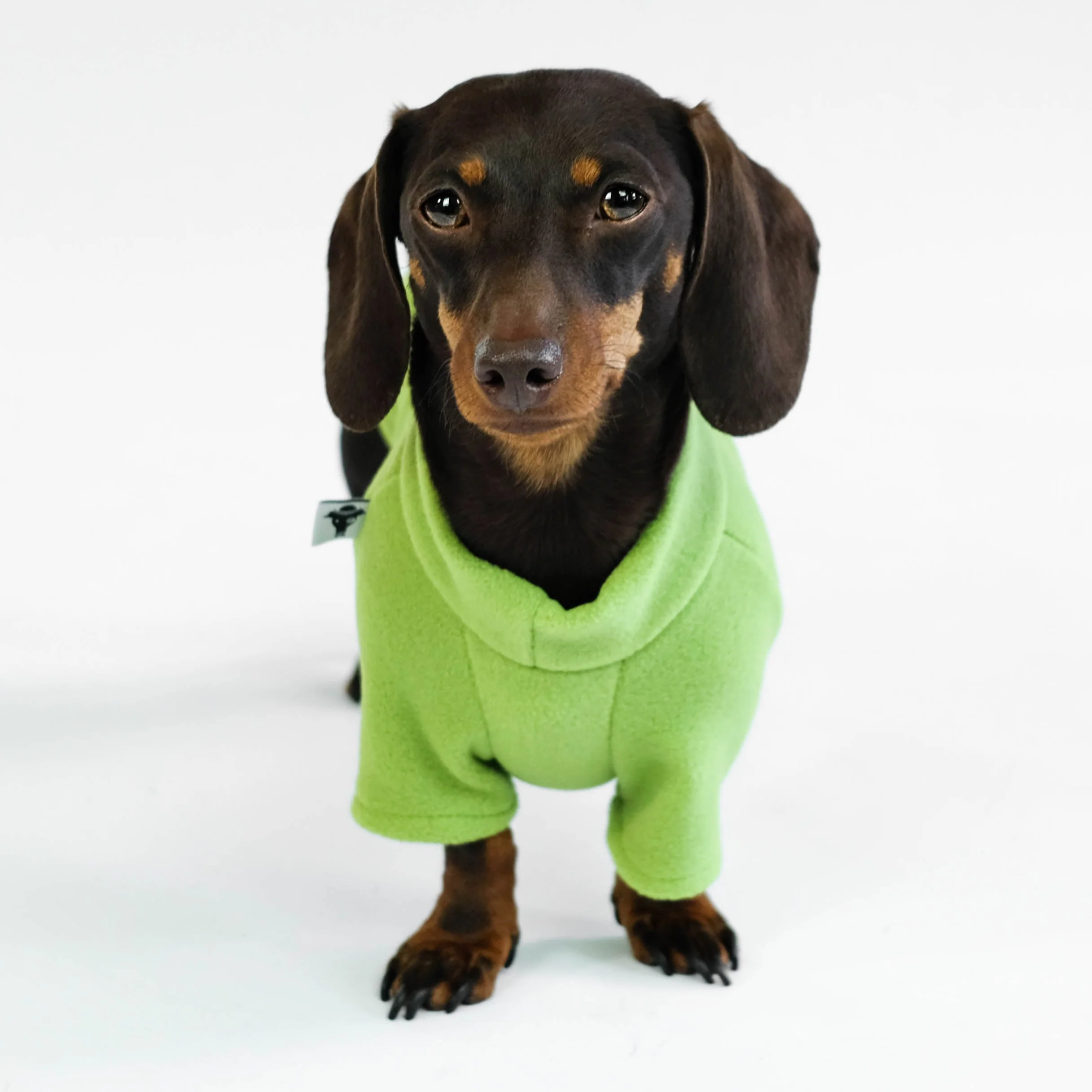 PULLOVER Dackel Light Green - Image 4