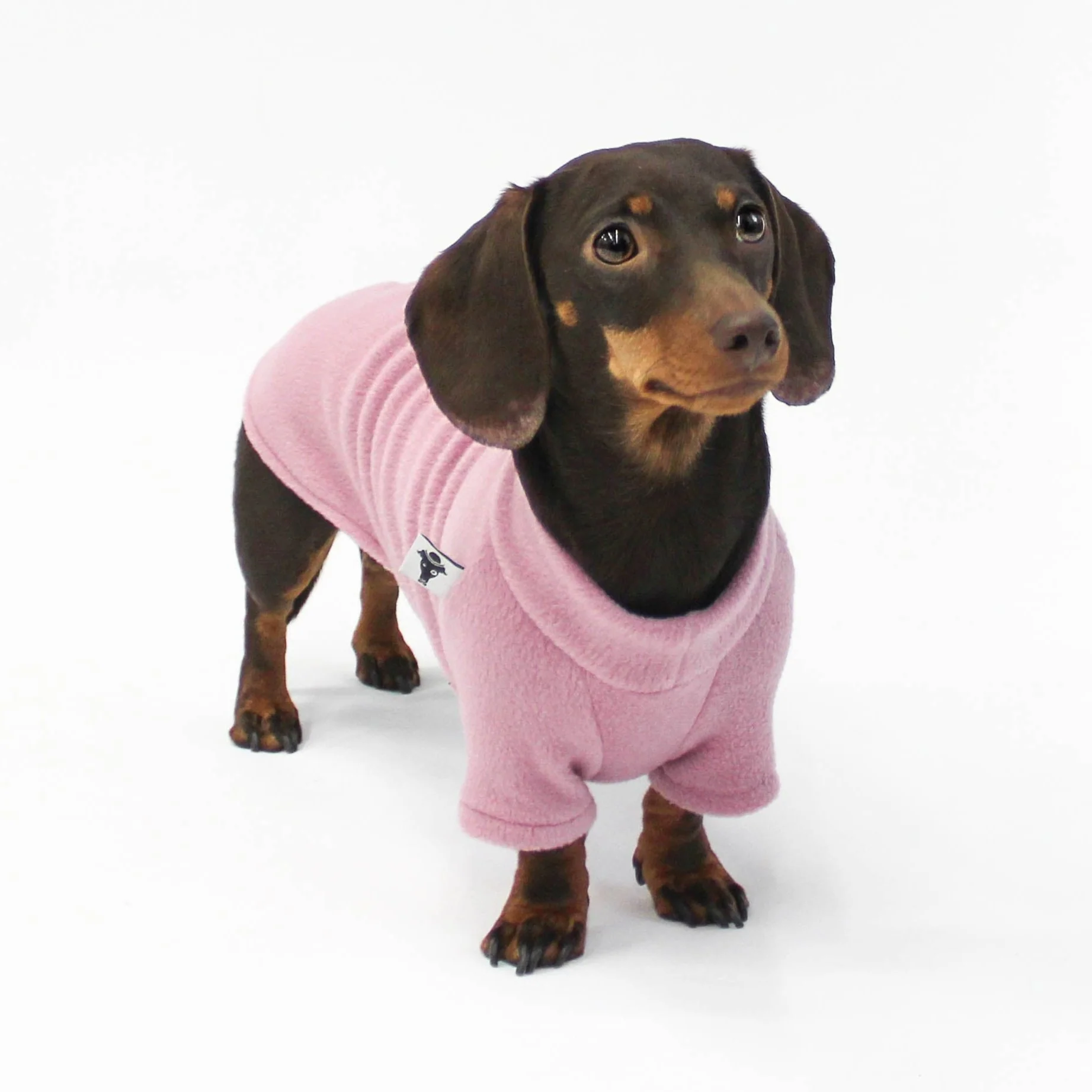 PULLOVER Dackel Mulberry - Image 4