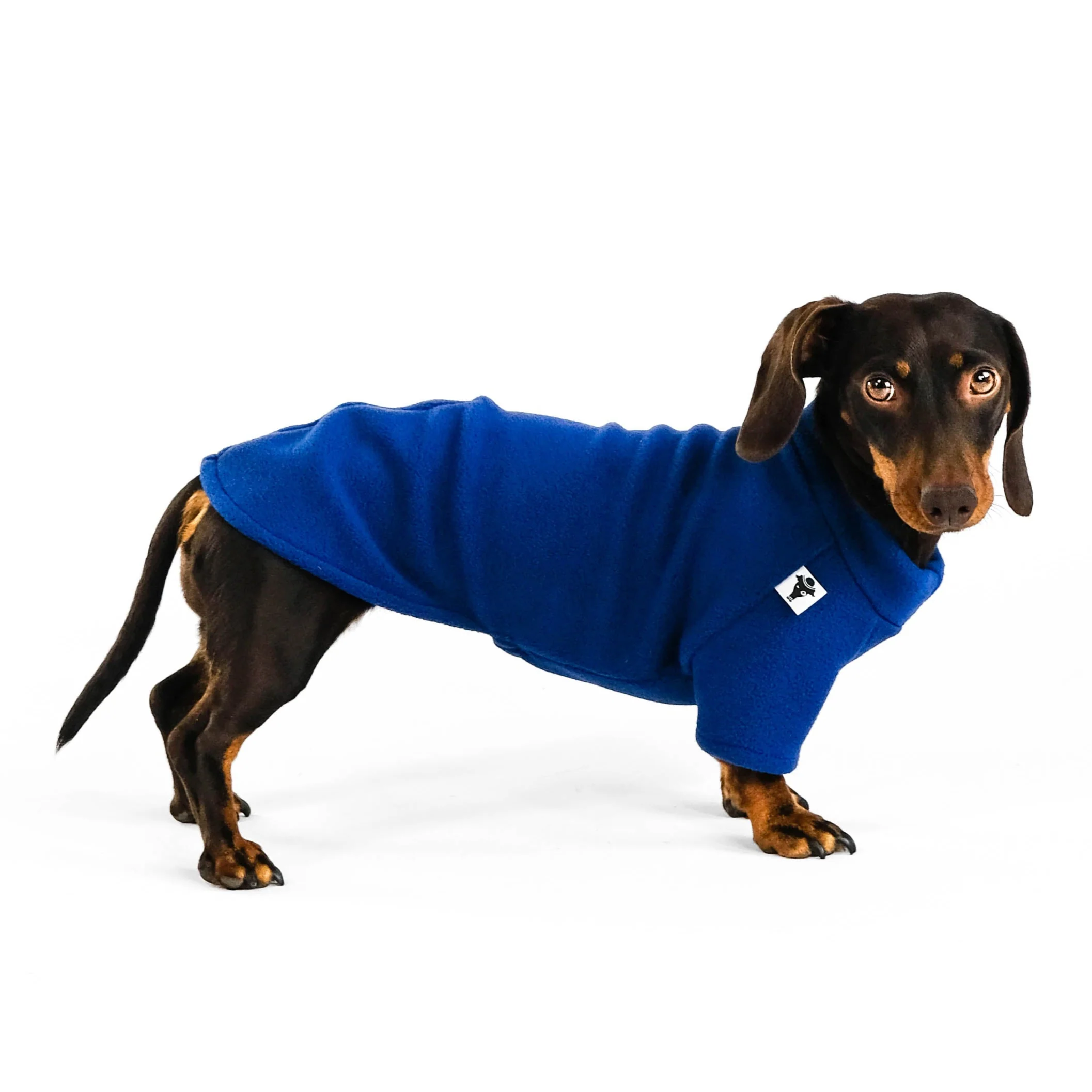PULLOVER Dackel Navy - Image 6
