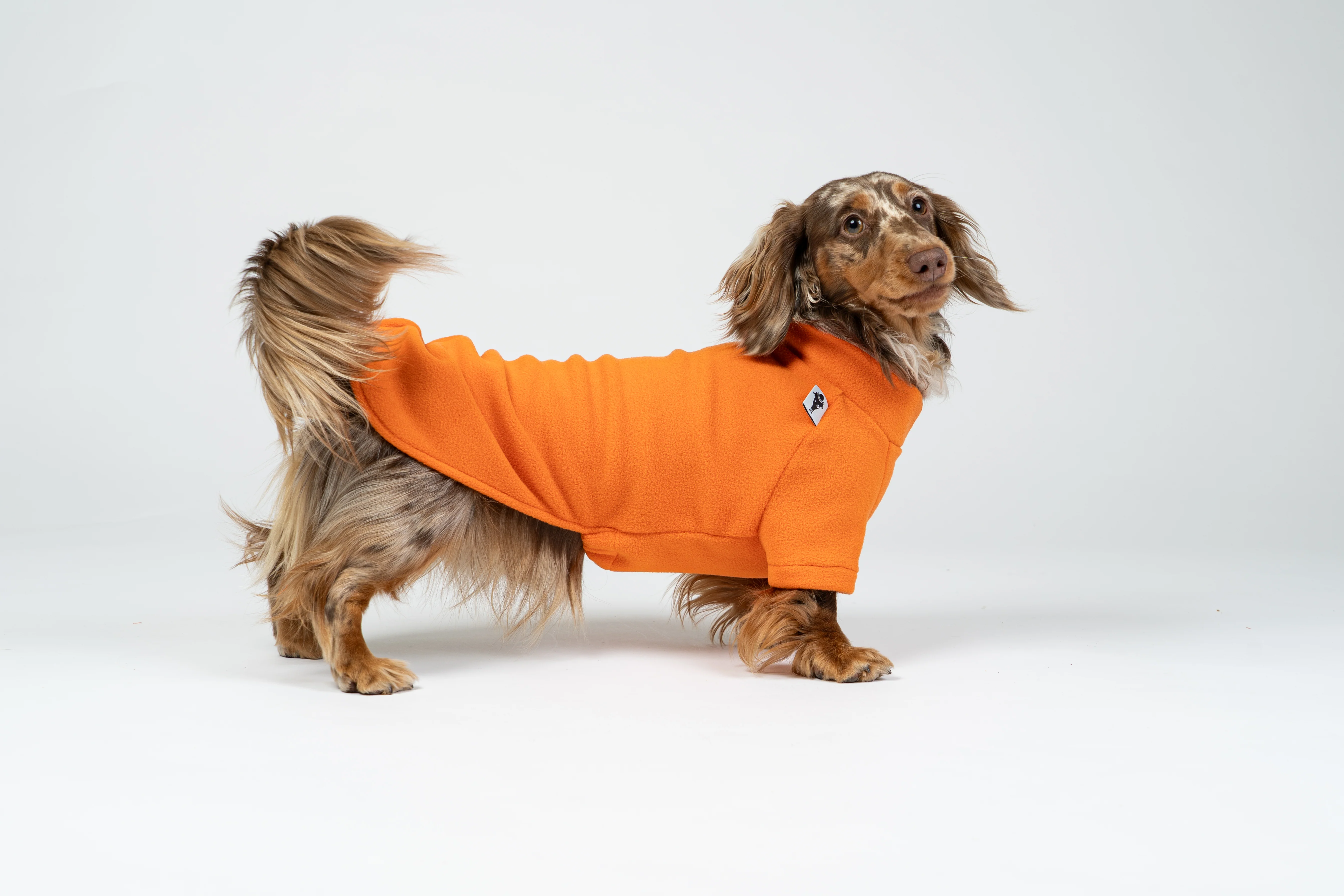 PULLOVER Dackel Orange - Image 10