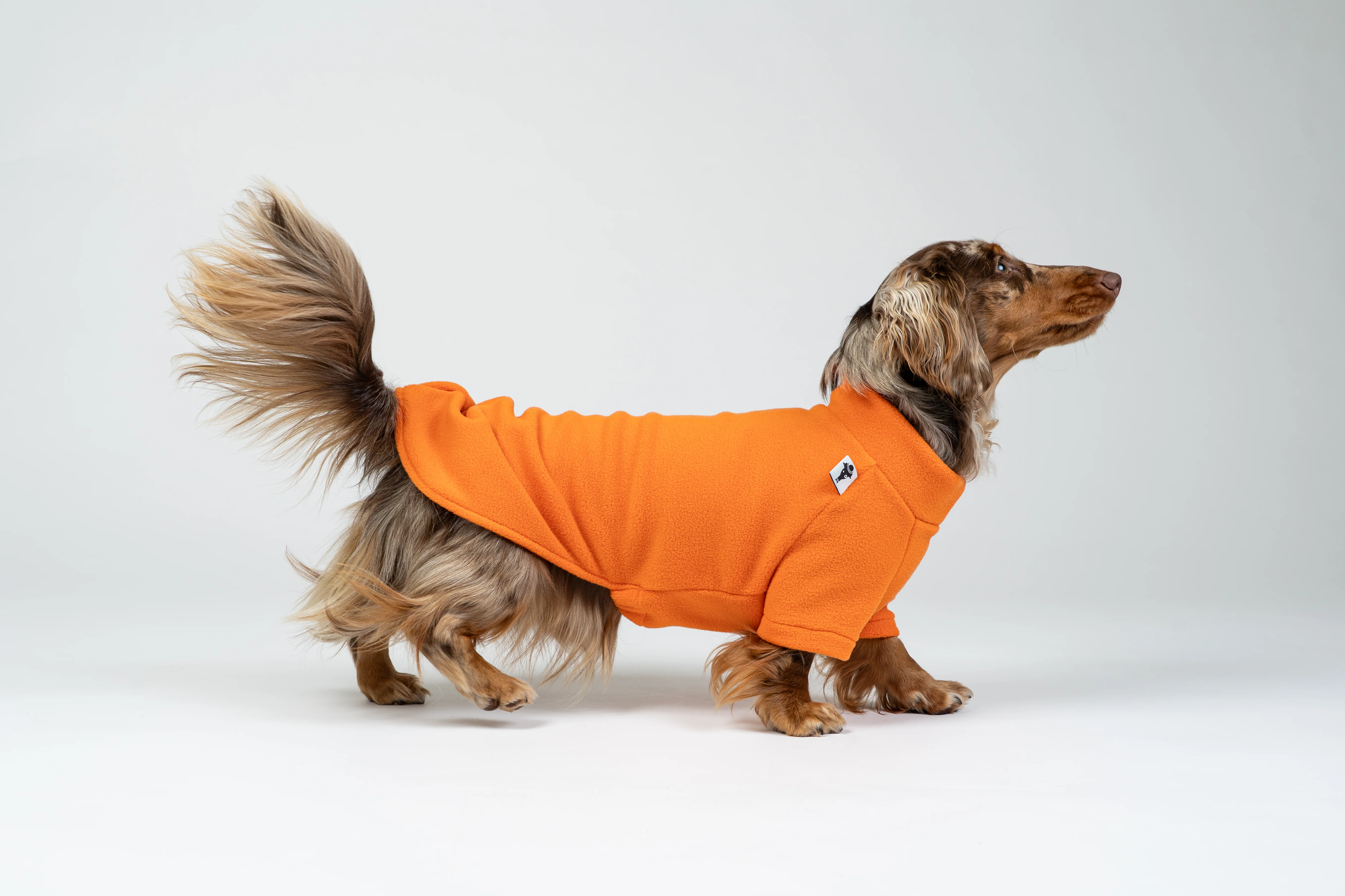 PULLOVER Dackel Orange - Image 11