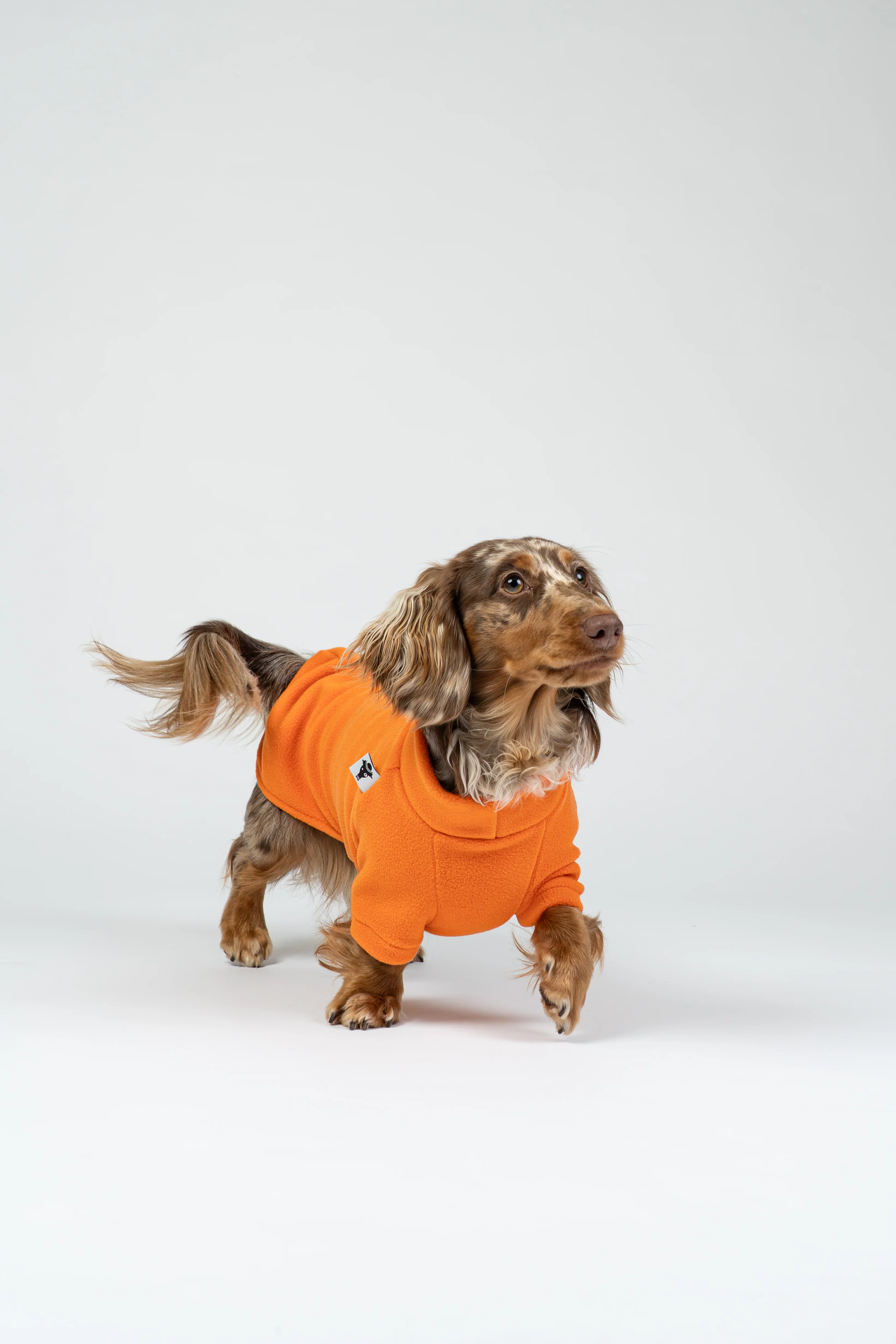 PULLOVER Dackel Orange - Image 4