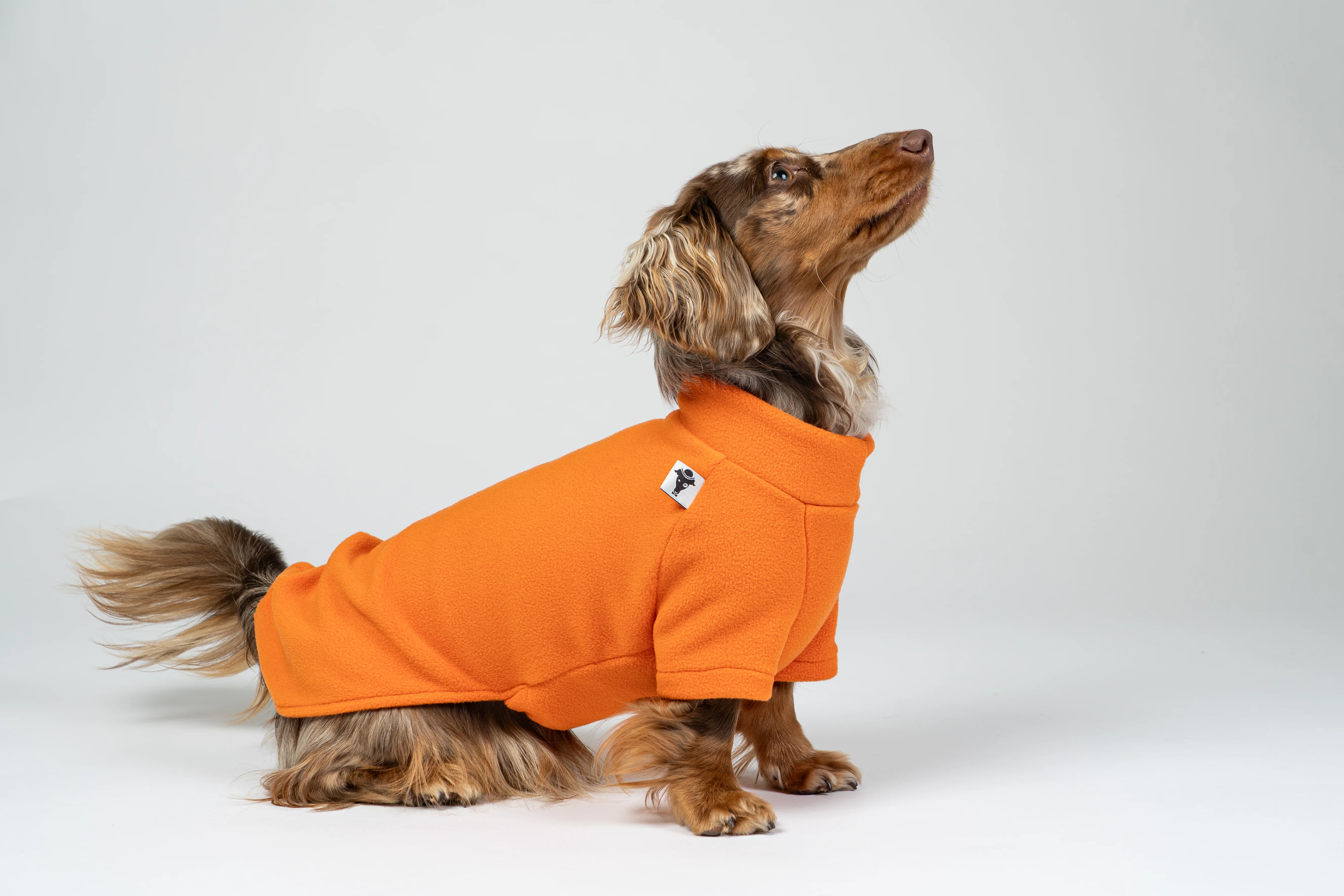 PULLOVER Dackel Orange - Image 7
