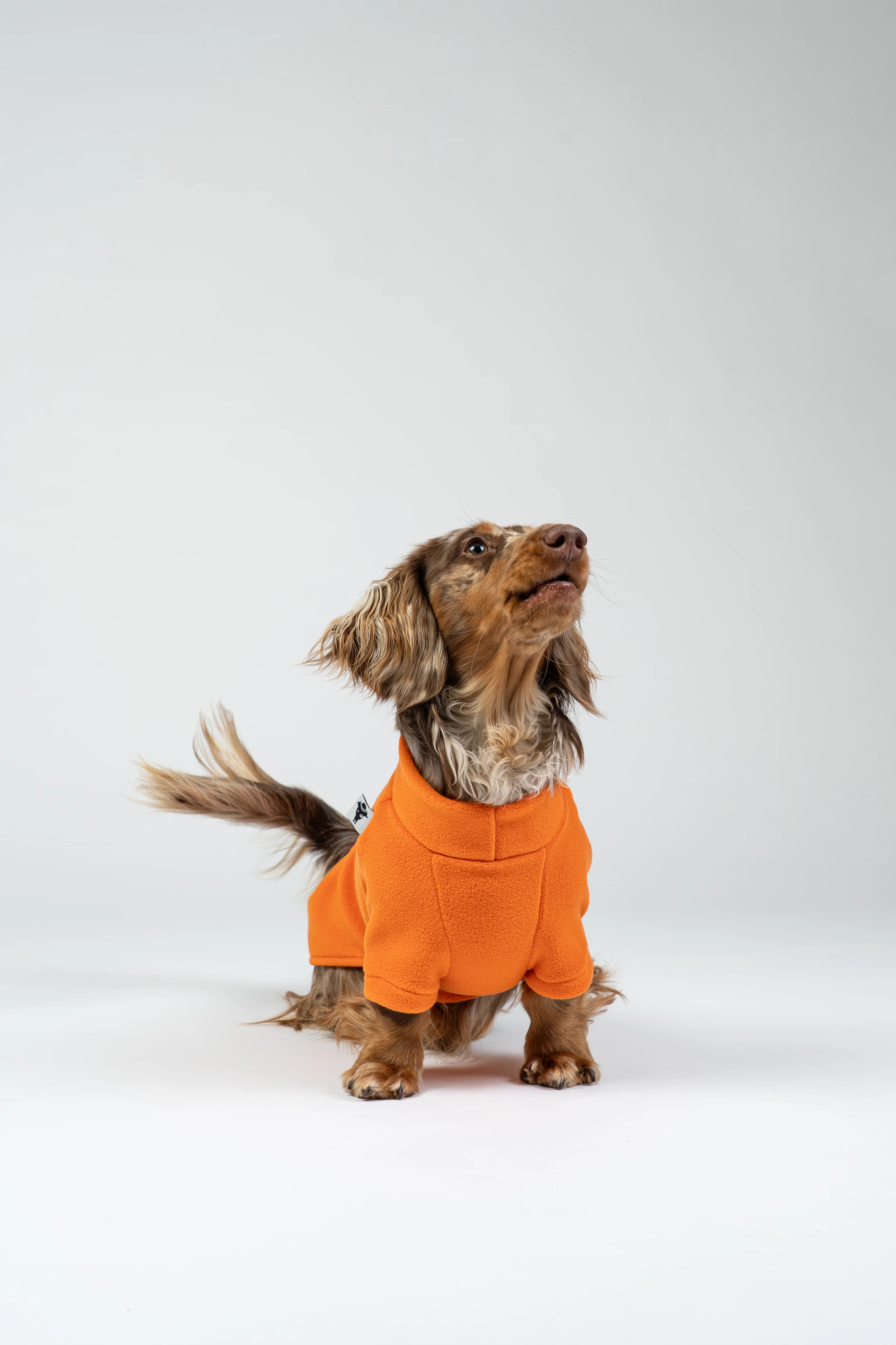 PULLOVER Dackel Orange - Image 8