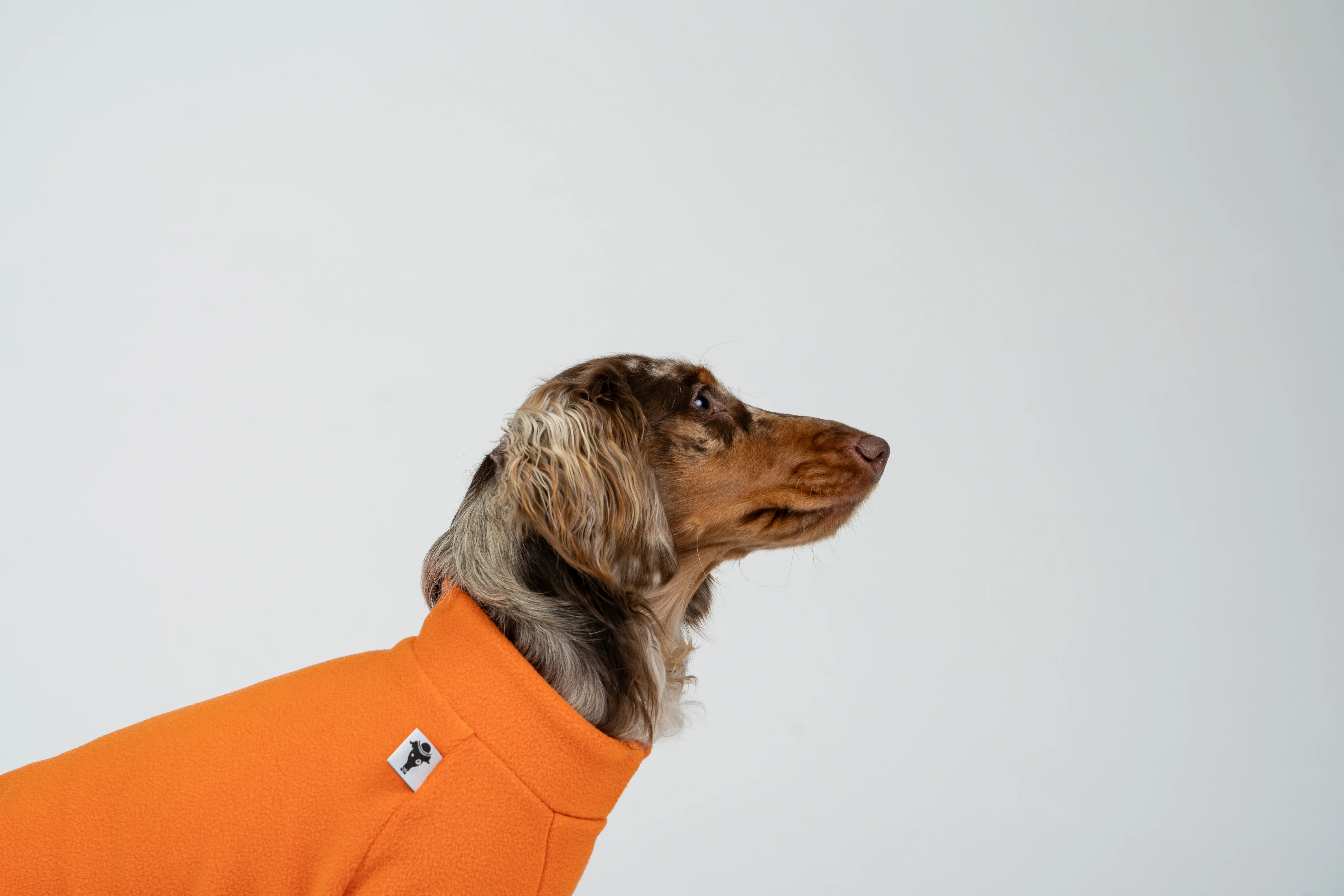 PULLOVER Dackel Orange - Image 9