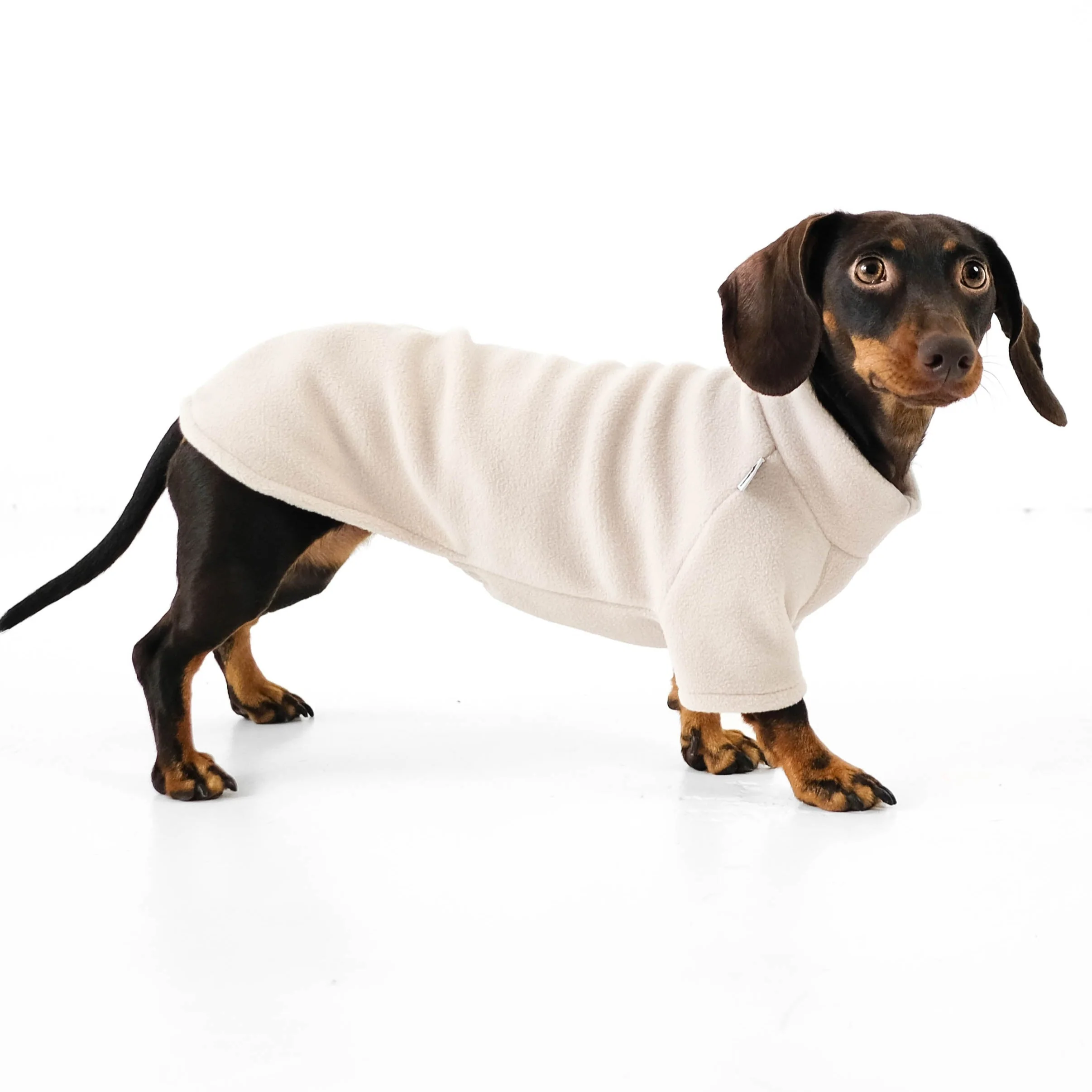PULLOVER Dackel Sand - Image 5