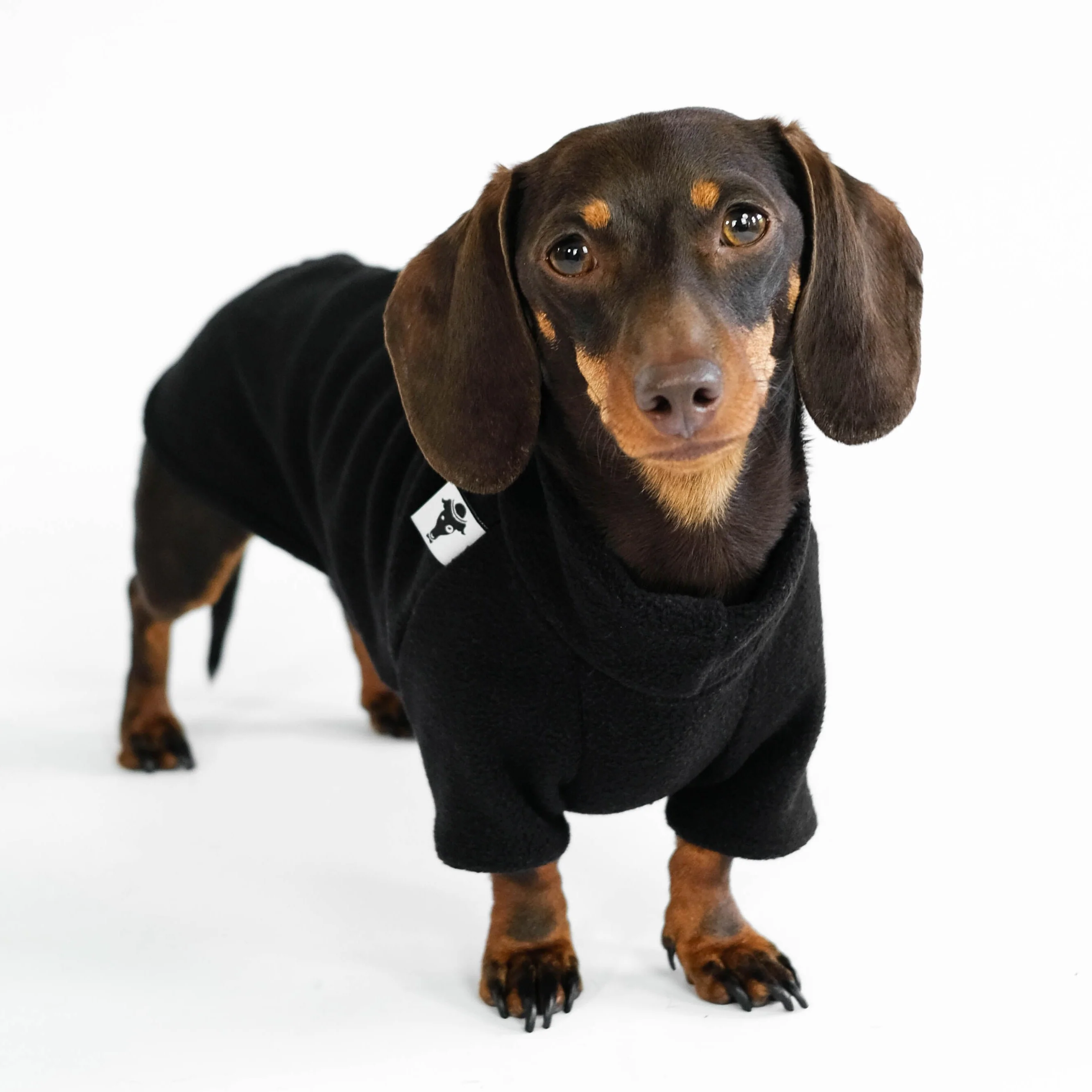PULLOVER Dackel Schwarz - Image 4
