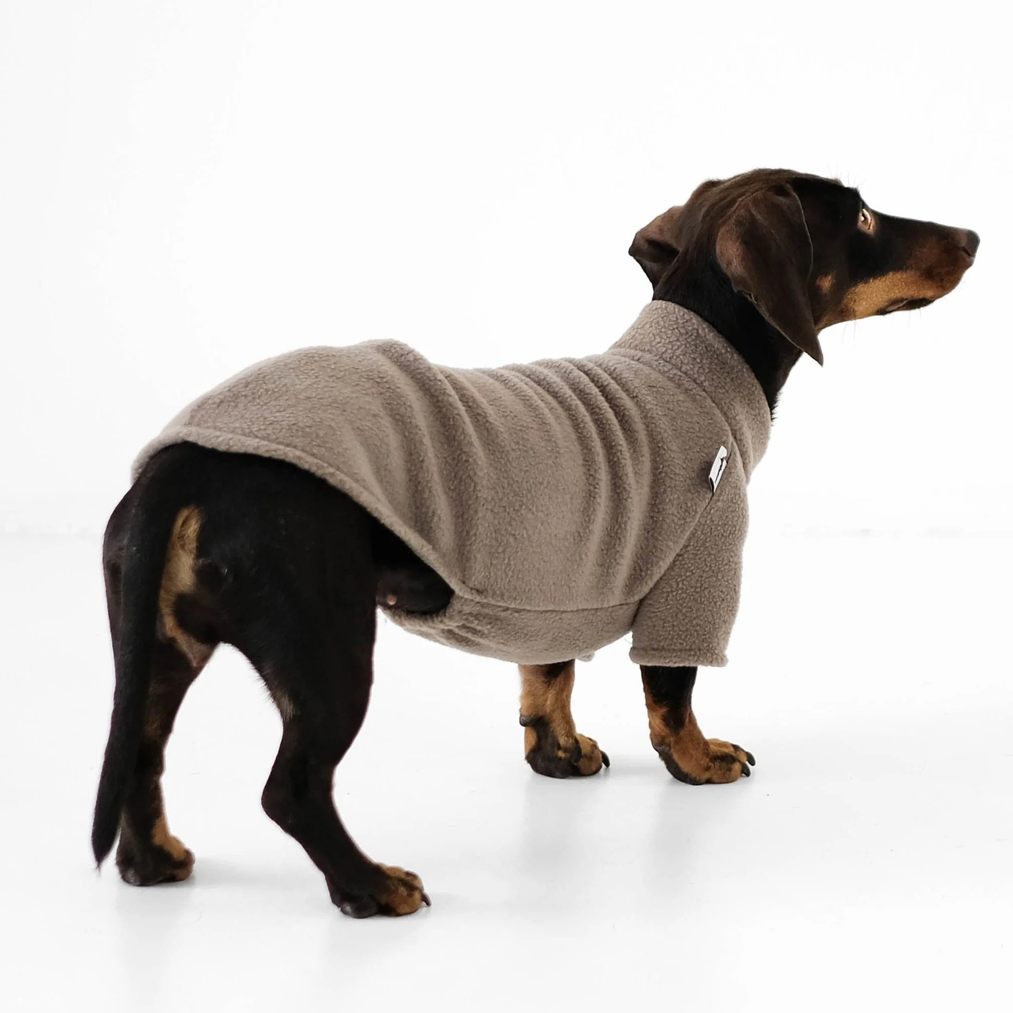 PULLOVER Dackel Walnut - Image 4